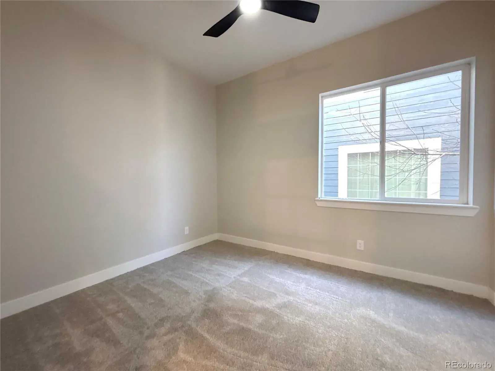 02262026215547 1600 24