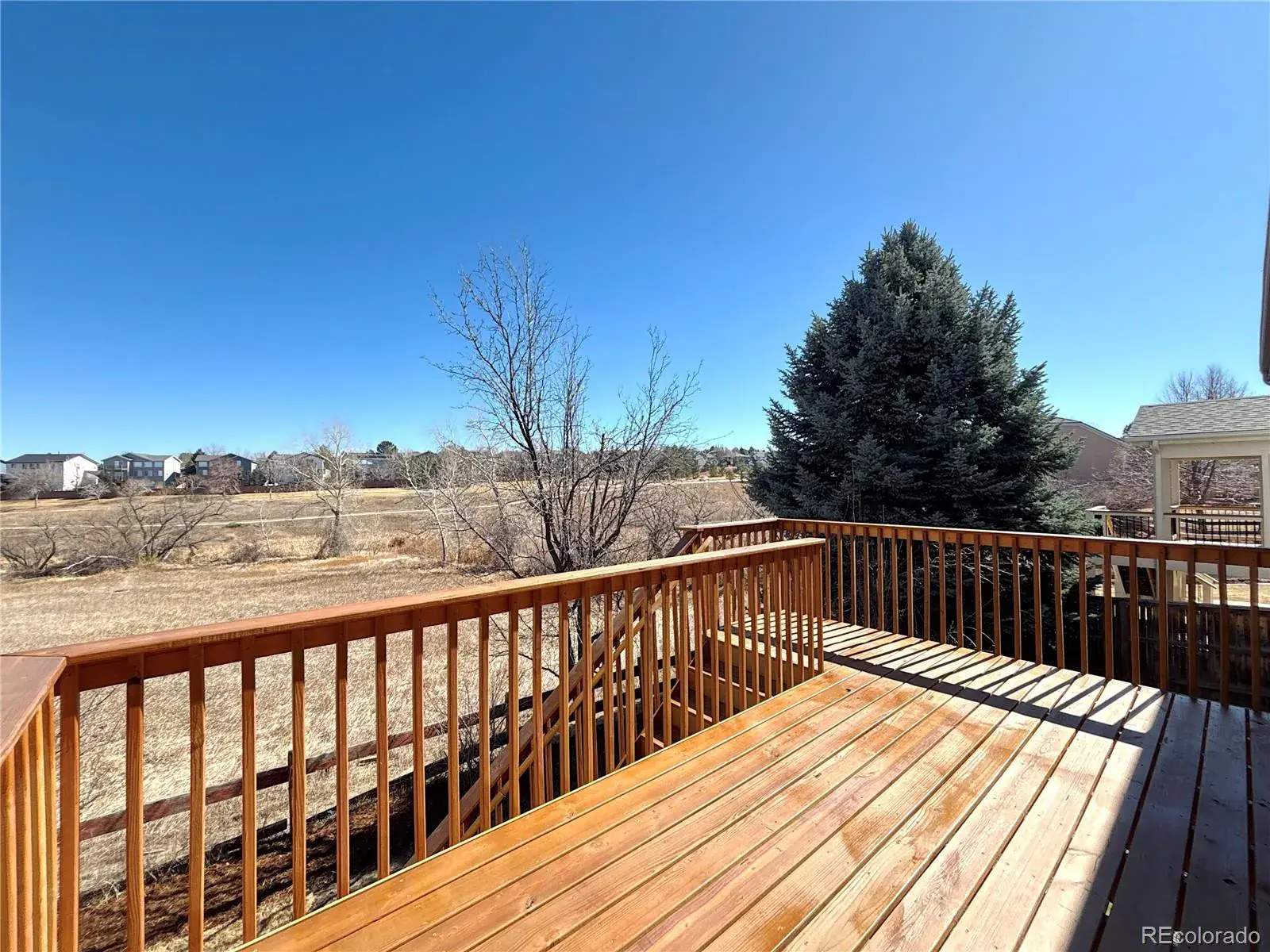 02262026215547 1600 33