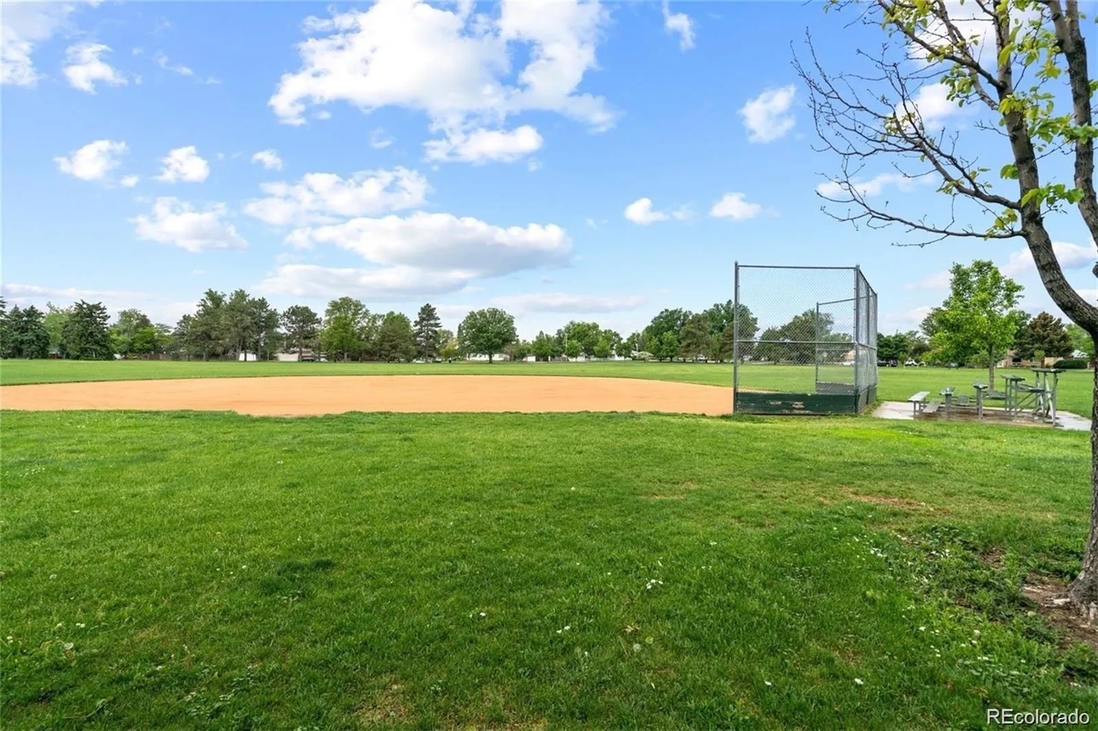 556 S Canosa Court Denver CO 80219 MLS #REC5411248 06302026030246 1600 46