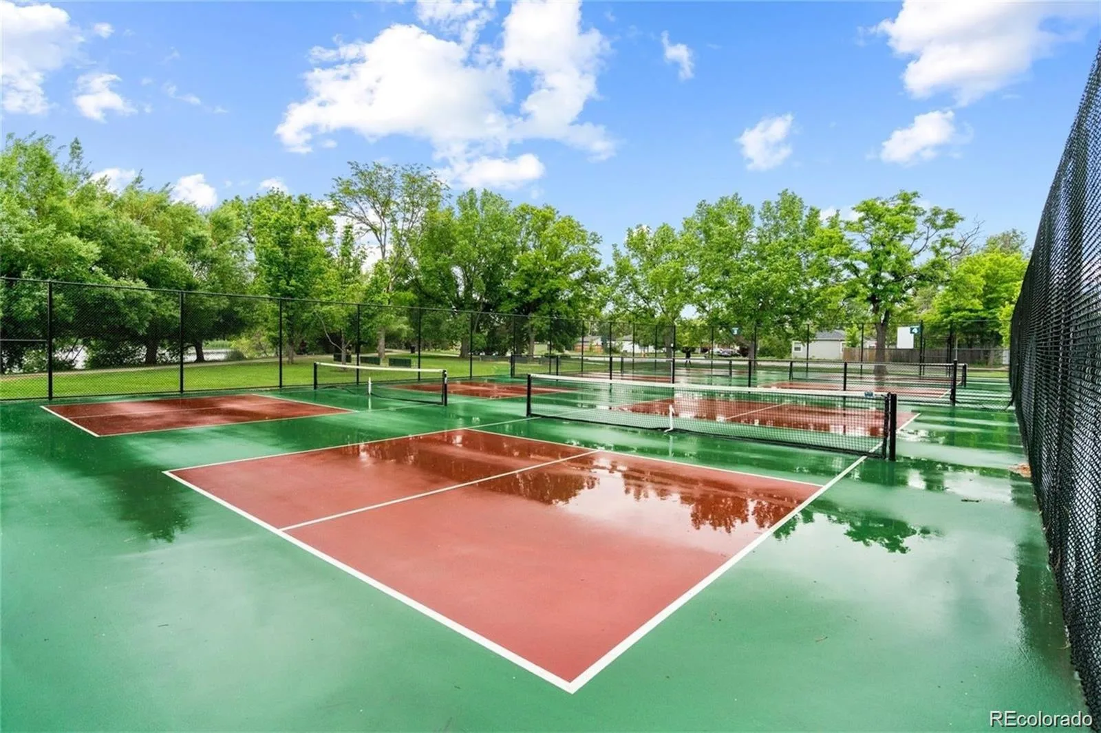556 S Canosa Court Denver CO 80219 MLS #REC5411248 06302026030246 1600 47