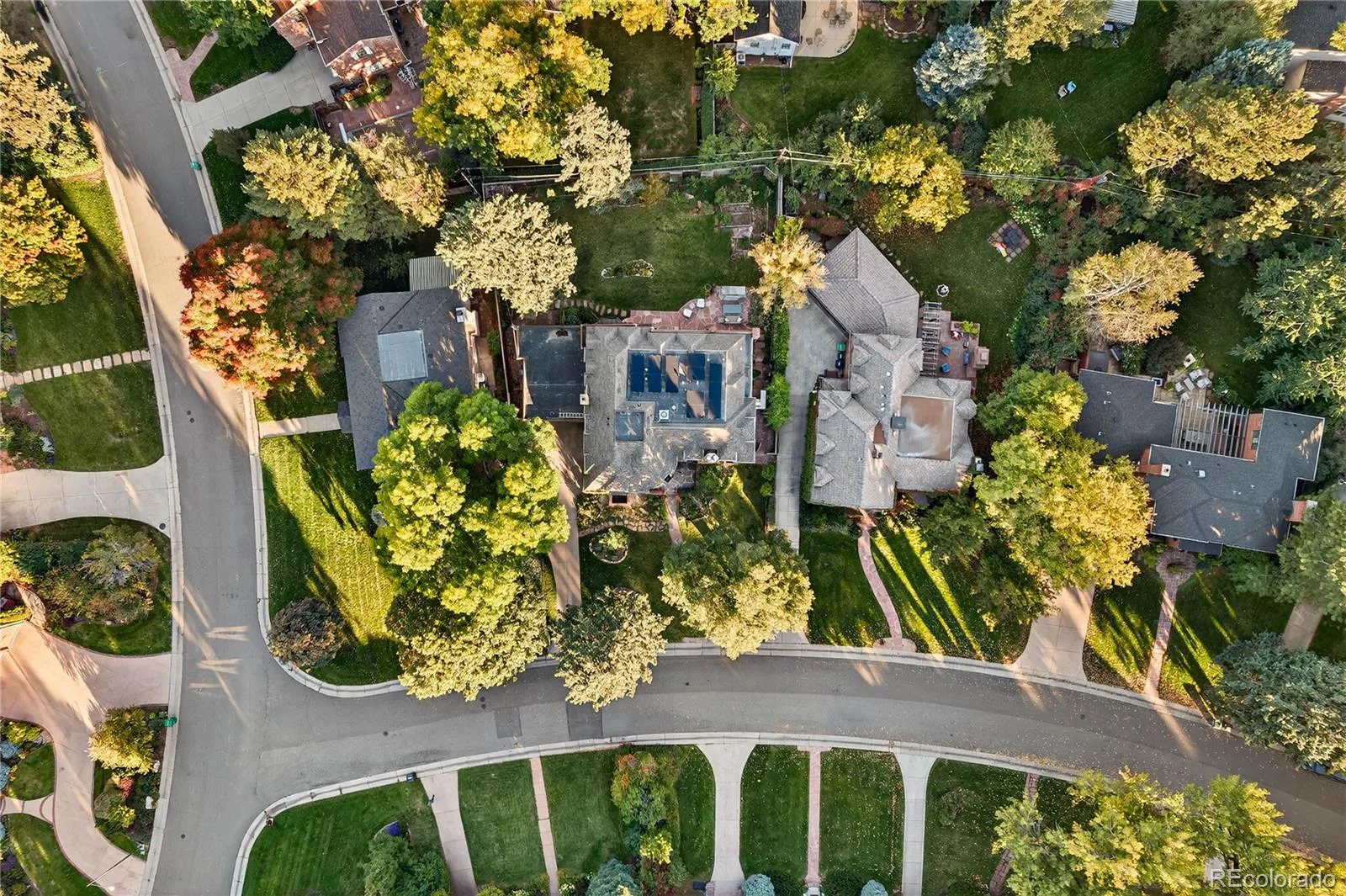 370 Ivy Street Denver CO 80220 MLS #REC5415195 06102026183610 1600 45