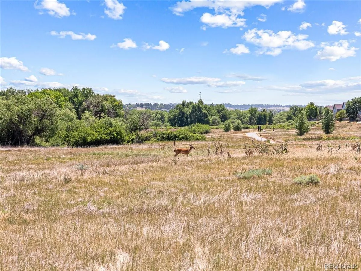 7976 S Kittredge Street Englewood CO 80112 | MLS #REC5418183 08222026191445 1200 32