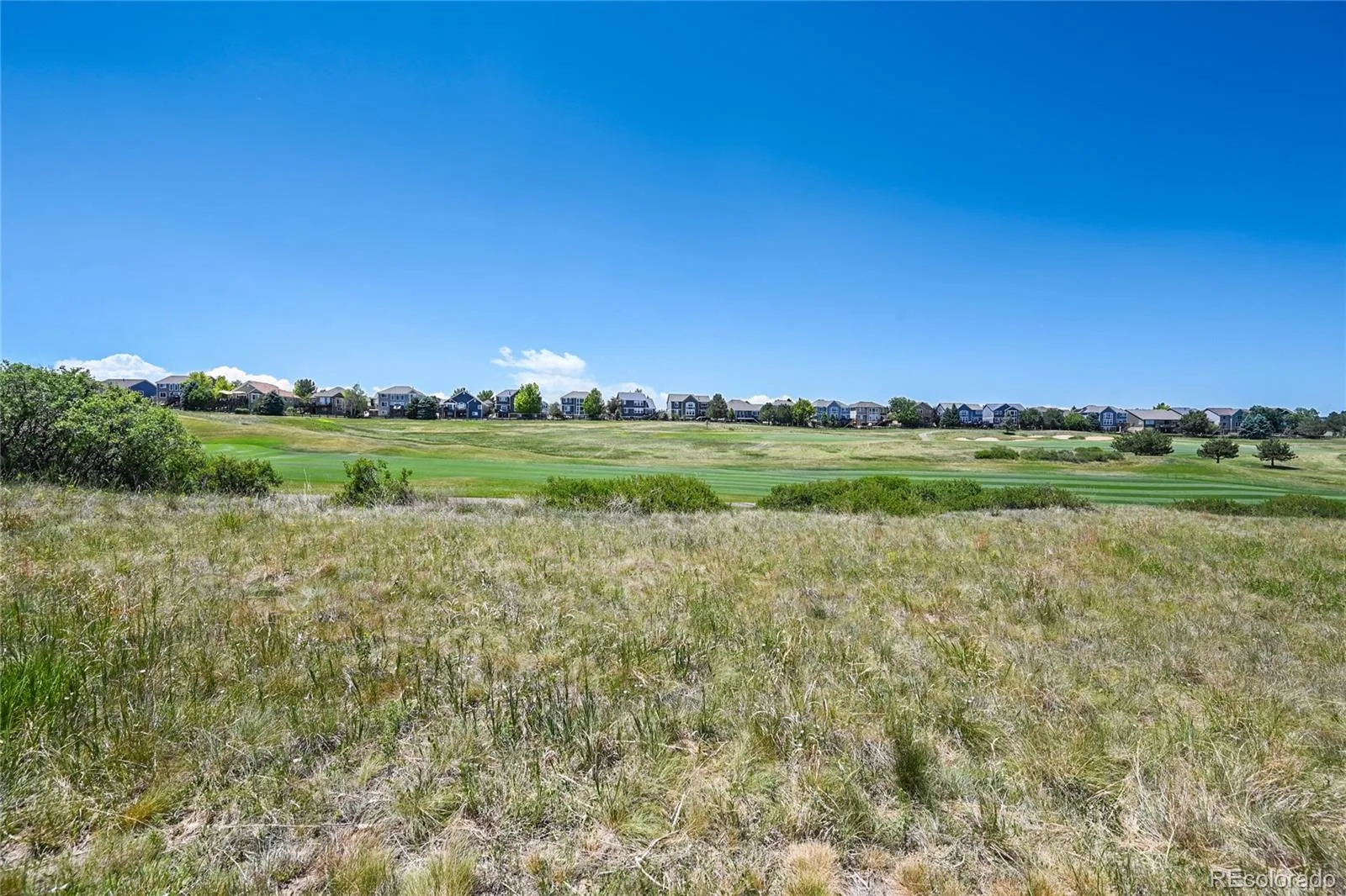 12063 Blackwell Way Parker CO 80138 | MLS #REC5423127 06182026141221 1600 42