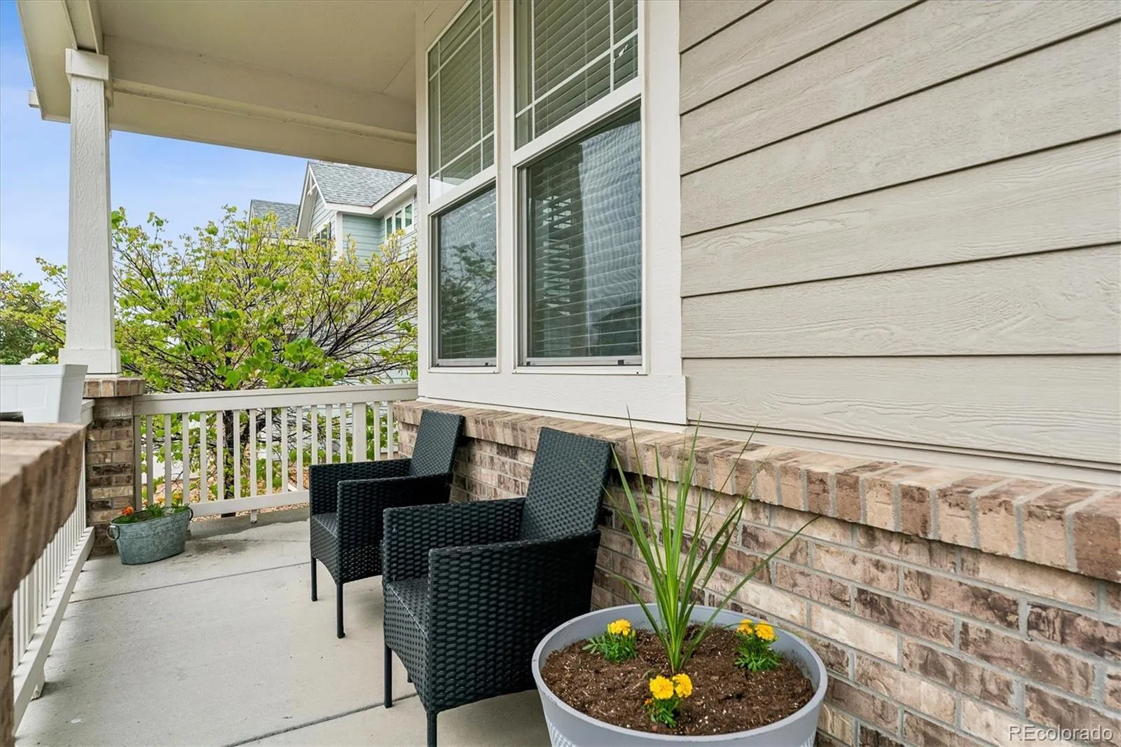 8248 Dressage Road Littleton CO 80125 | MLS #REC5427153 05212026005007 1600 1