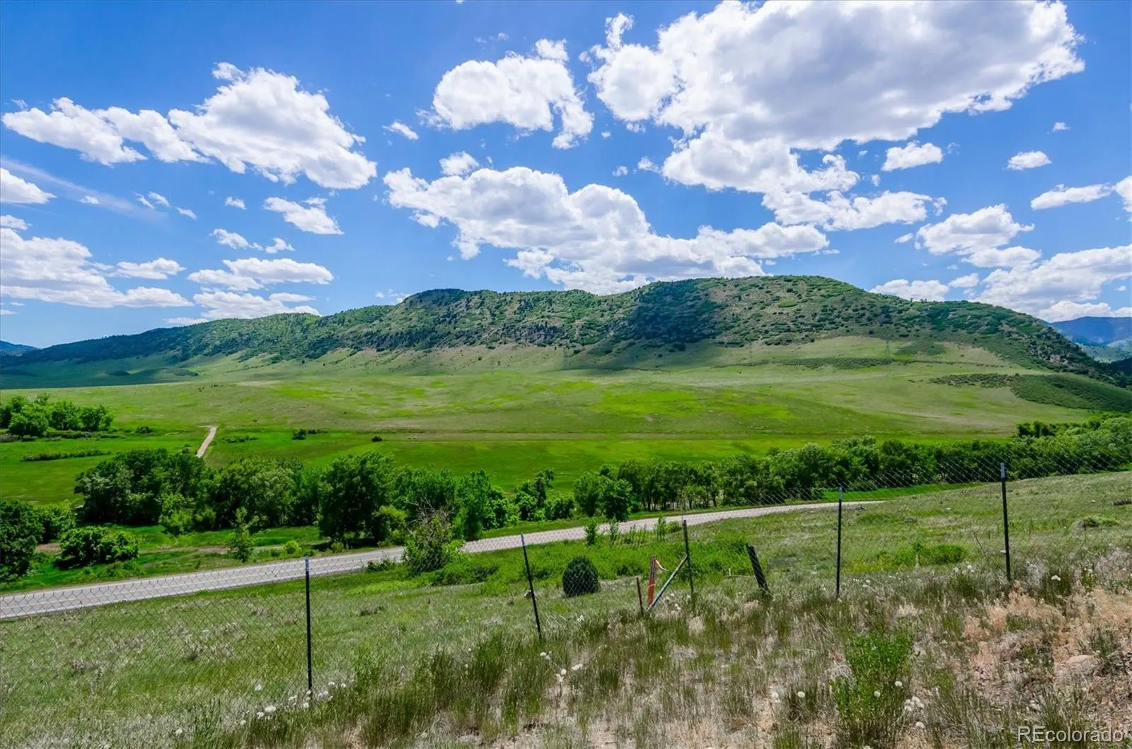 8248 Dressage Road Littleton CO 80125 | MLS #REC5427153 05212026005007 1600 38