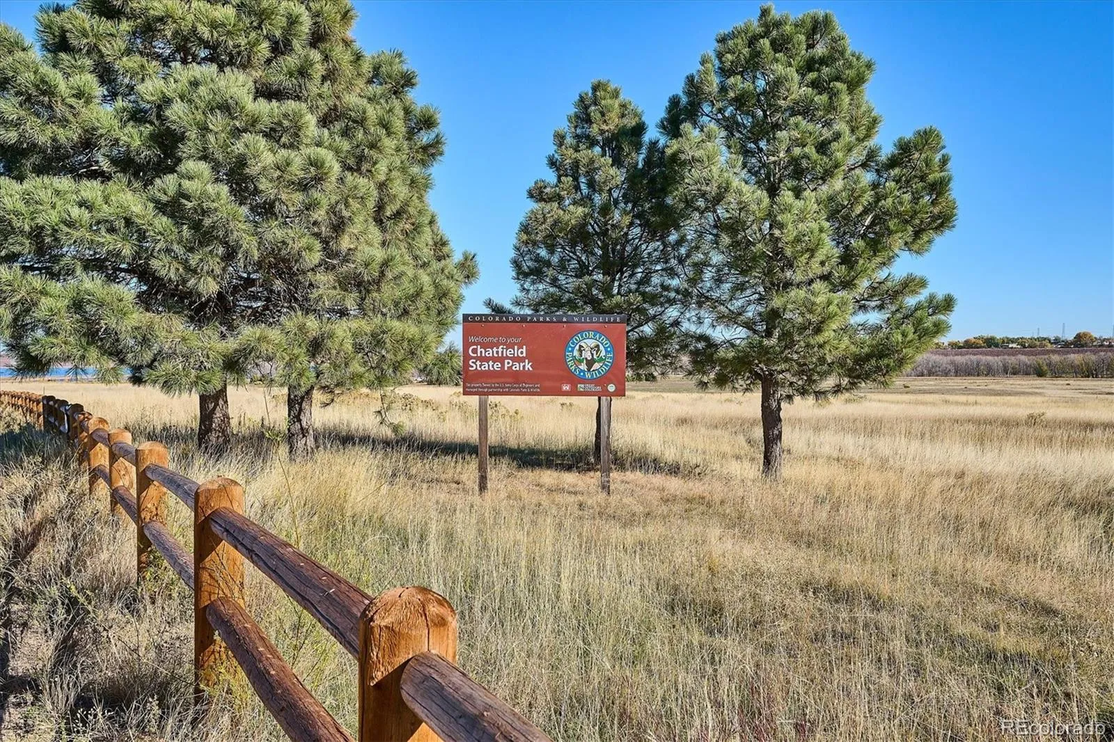 8248 Dressage Road Littleton CO 80125 | MLS #REC5427153 05212026005007 1600 40