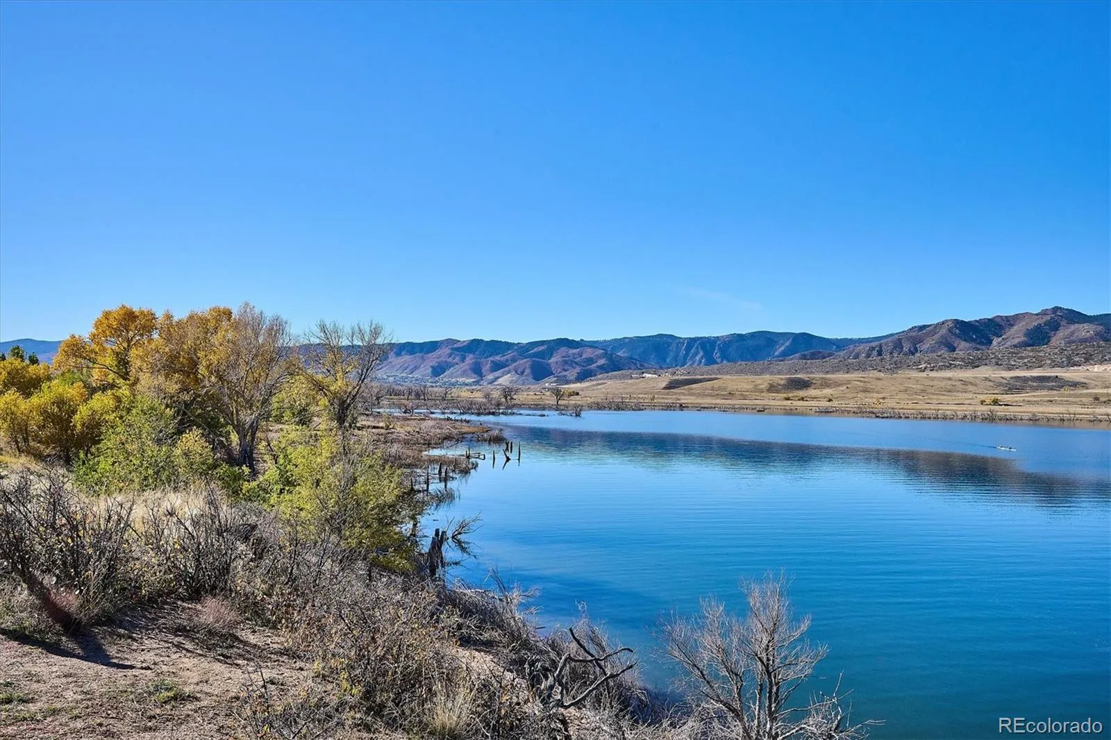 8248 Dressage Road Littleton CO 80125 | MLS #REC5427153 05212026005007 1600 41