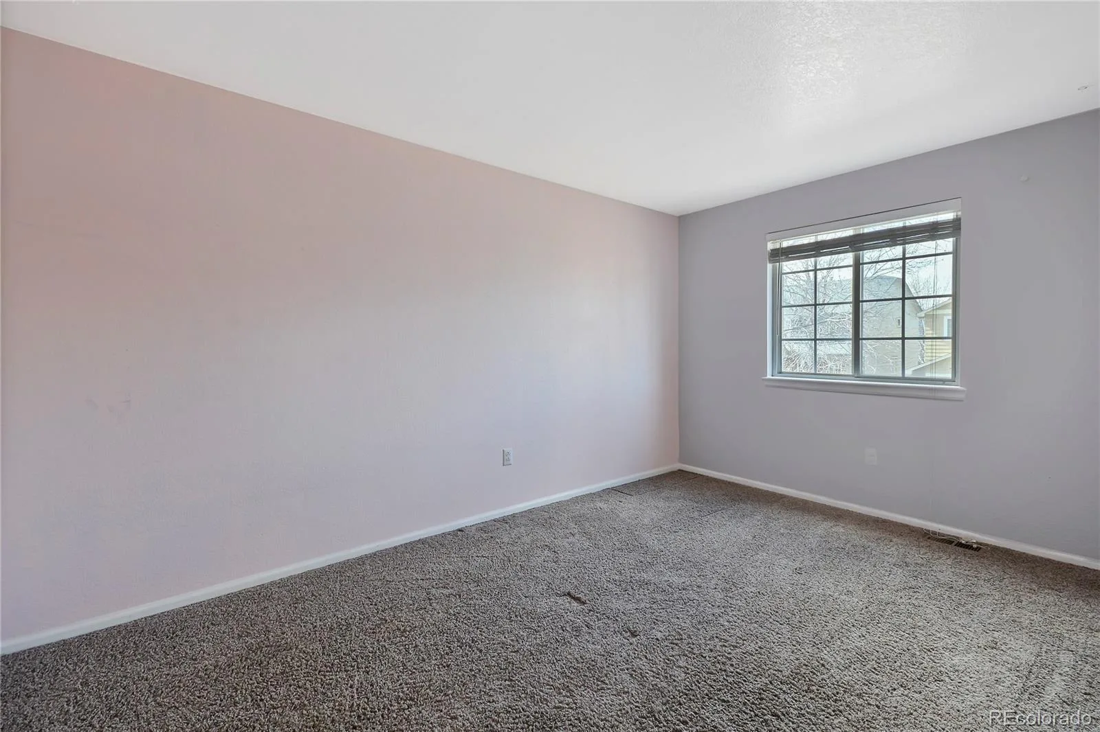 4812 N Silverlace Drive Castle Rock CO 80109 | MLS #REC5430108 07282026141646 1600 15