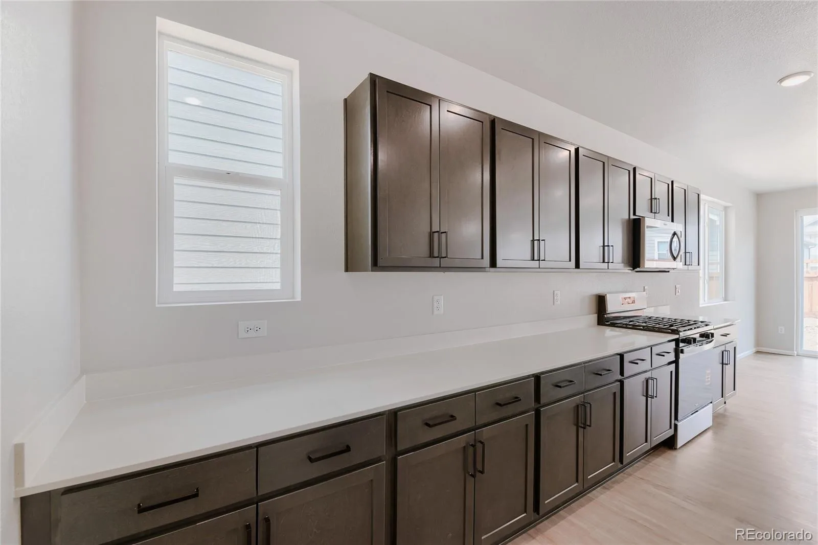 4117 Runyon Lake Street Brighton CO 80601 | MLS #REC5435174 07152026075406 1600 7