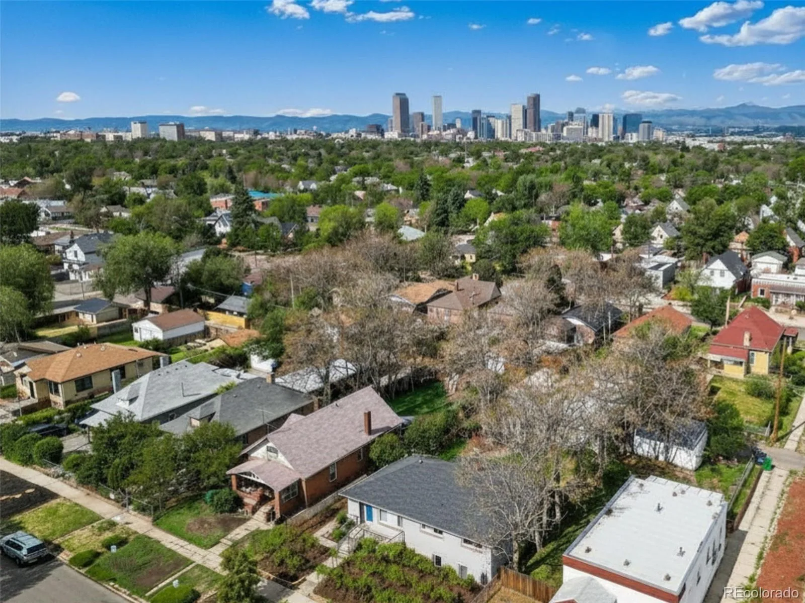 3045 N Columbine Street Denver CO 80205 | MLS #REC5435662 08272026144403 1600 38