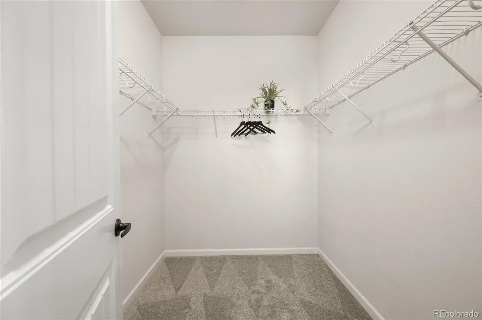 02192026012630 1600 25