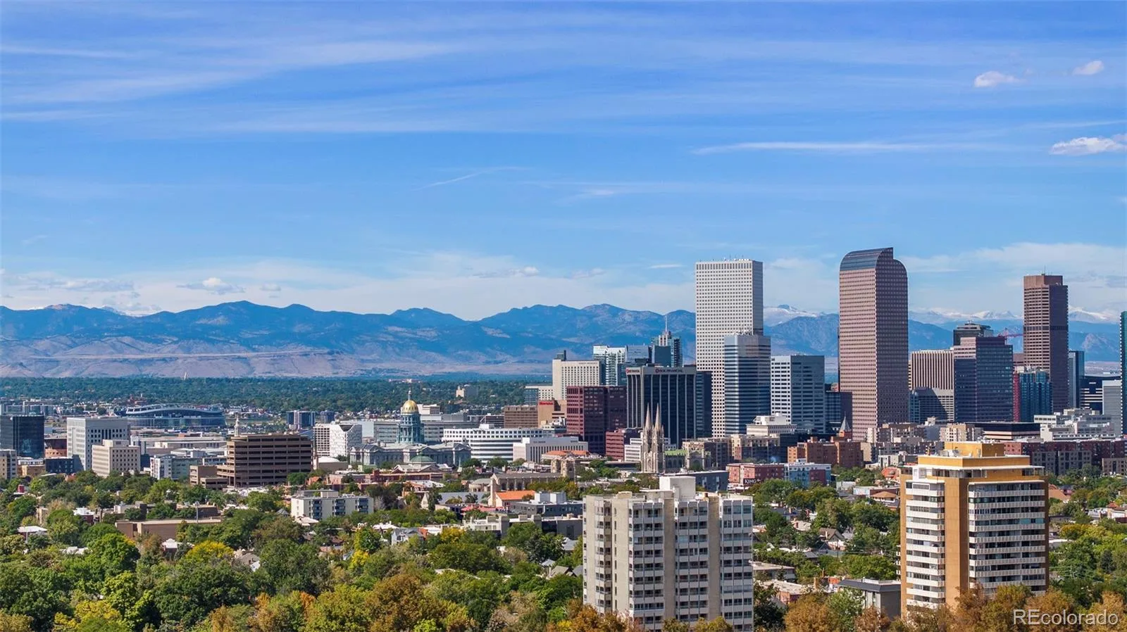 1111 Race Street #4B Denver CO 80206 MLS #REC5440449 07122026005426 1600 17