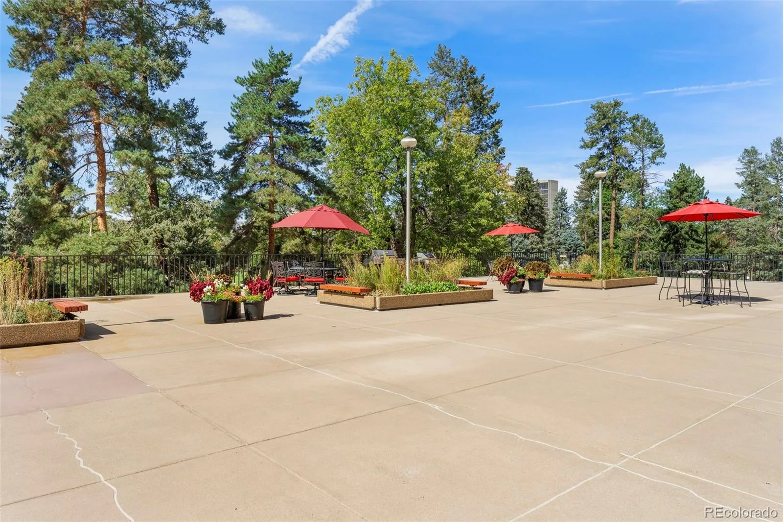 1111 Race Street #4B Denver CO 80206 MLS #REC5440449 07122026005426 1600 28