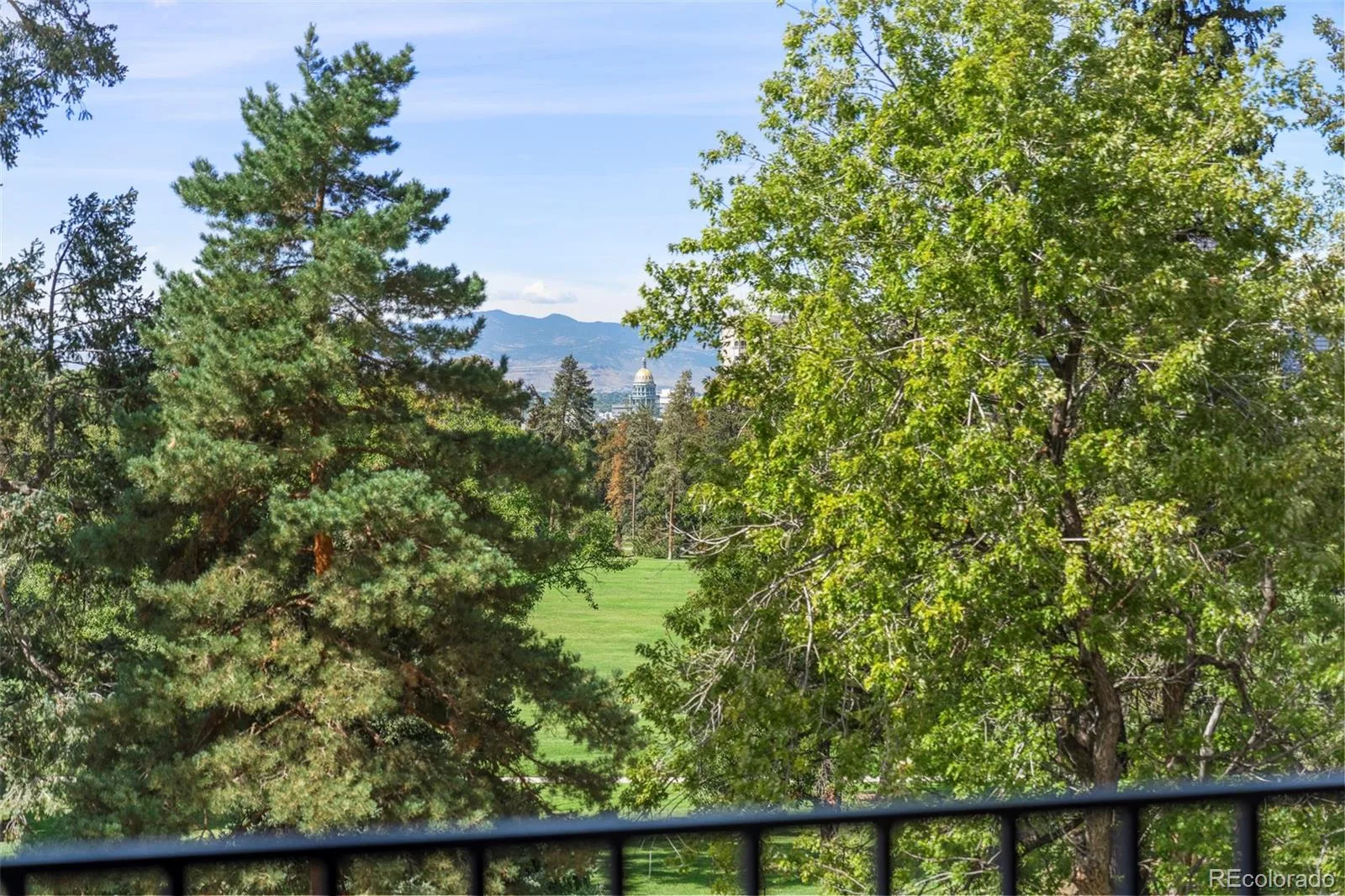 1111 Race Street #4B Denver CO 80206 MLS #REC5440449 07122026005426 1600 32