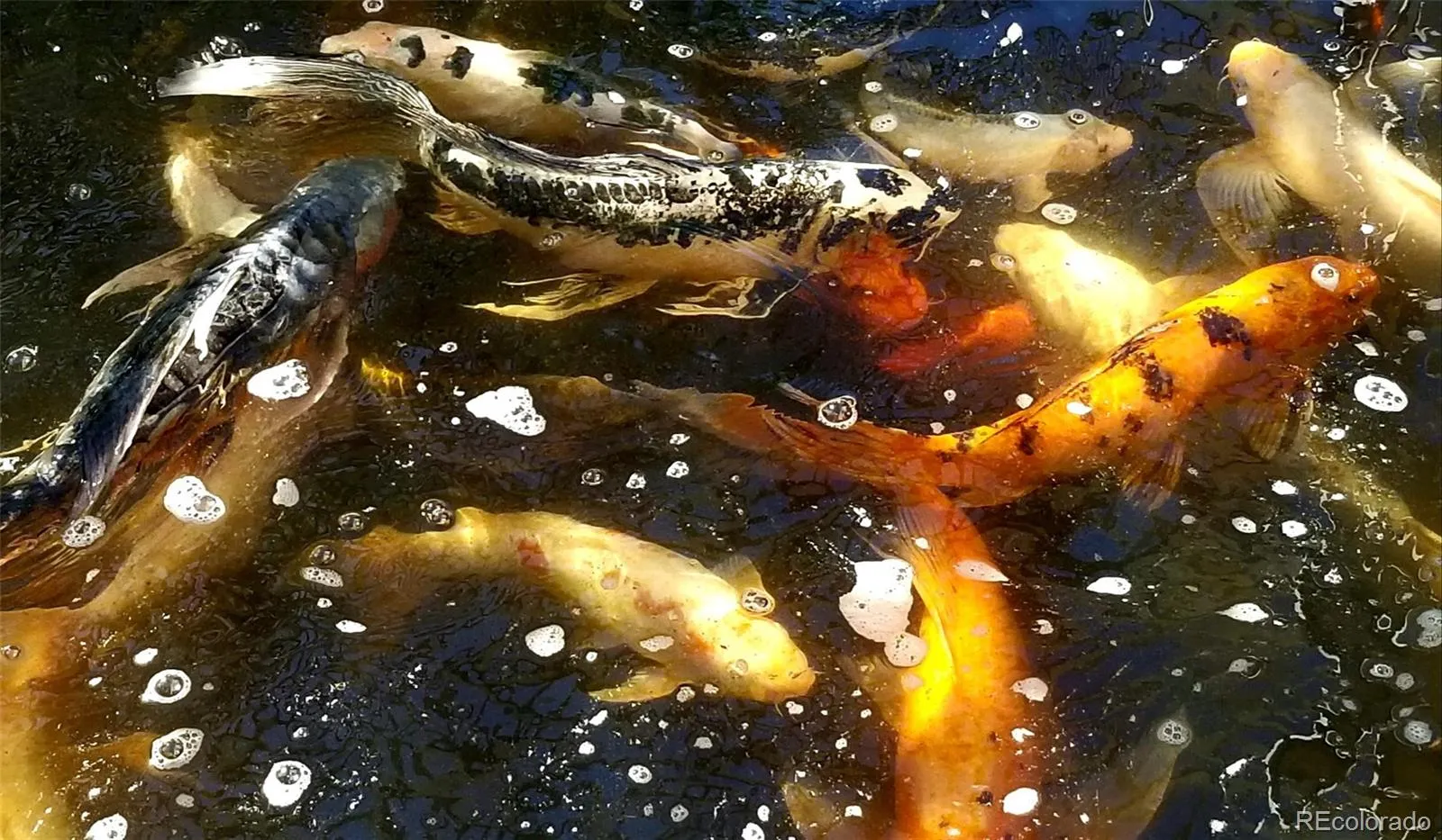 04132026163743 1600 3