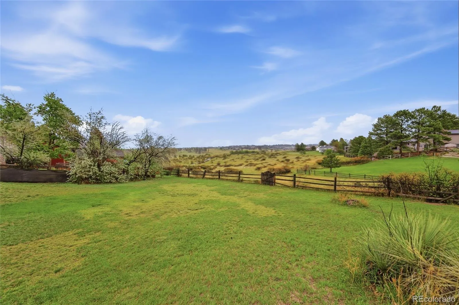 6930 Hillpoint Place Parker CO 80134 MLS #REC5449702 05202026151523 1600 35