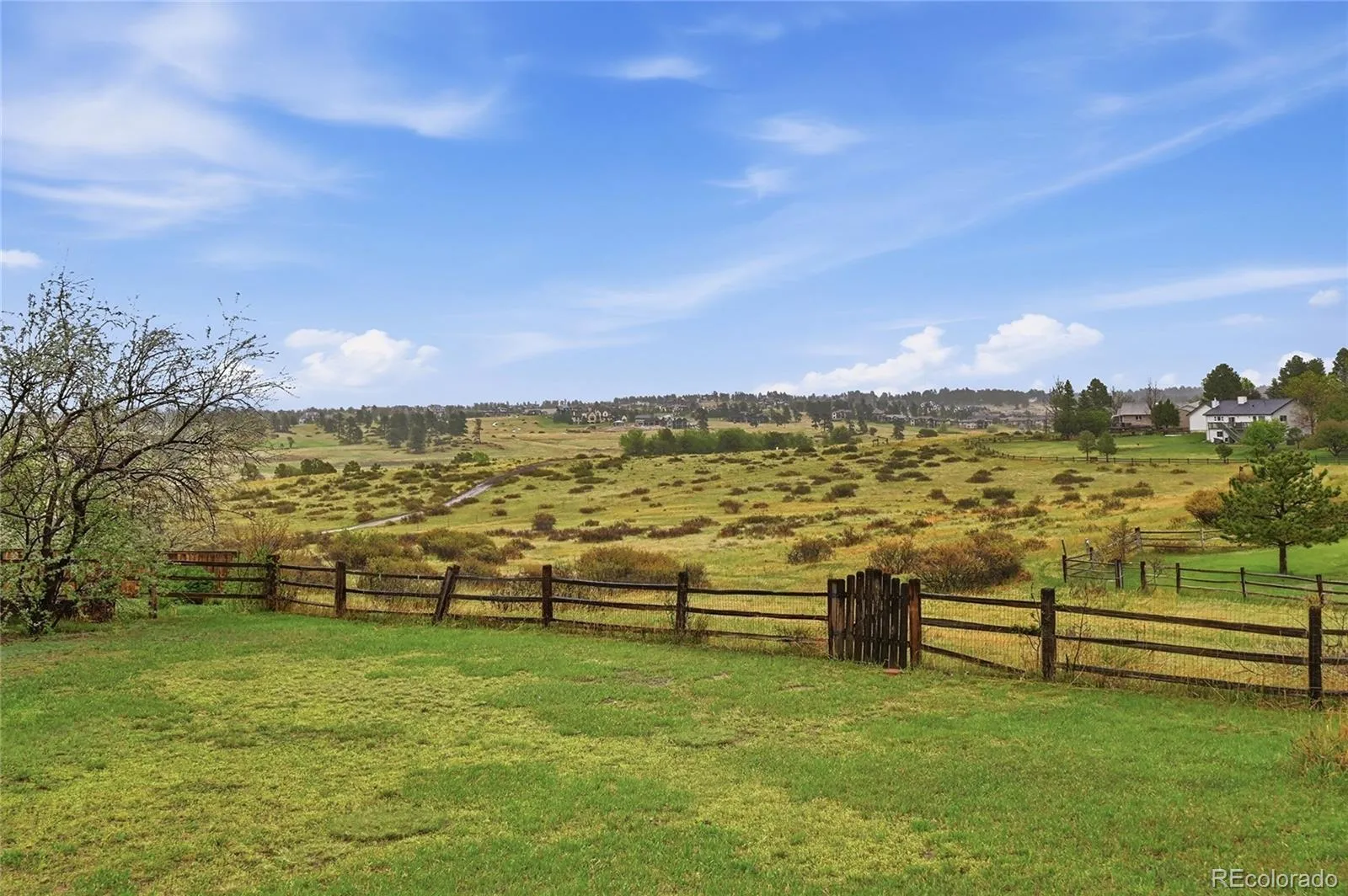 6930 Hillpoint Place Parker CO 80134 MLS #REC5449702 05202026151523 1600 36