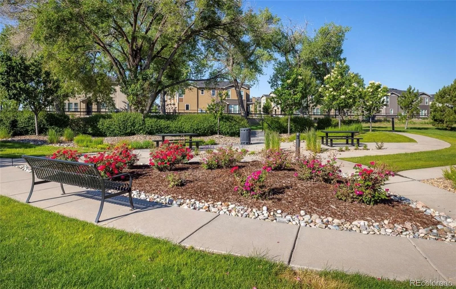 15346 W 66th Drive #A Arvada CO 80007 | MLS #REC5452840 08142026142122 1600 41