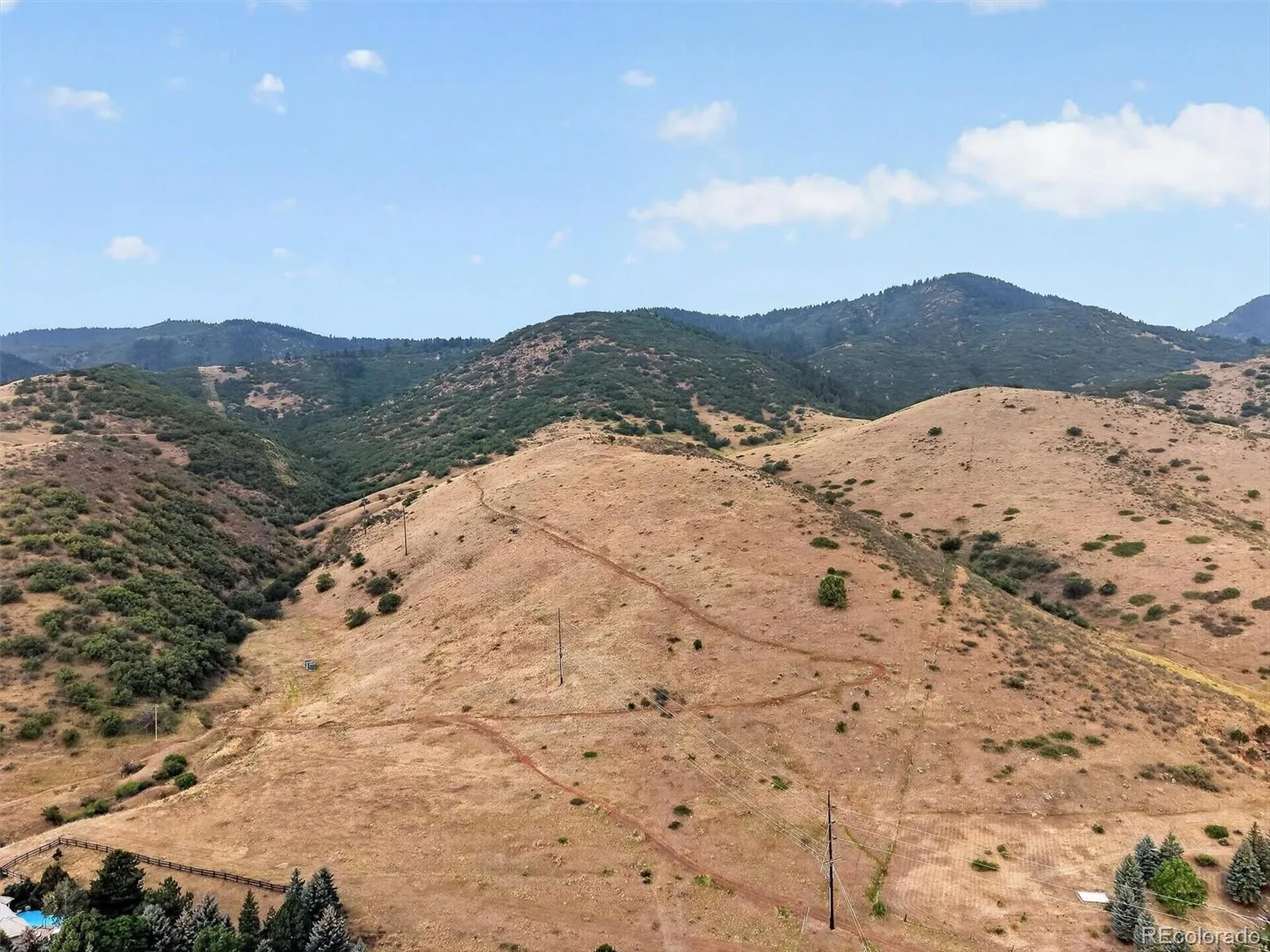 6 Ptarmigan Littleton CO 80127 | MLS #REC5463668 08062026124506 1600 38