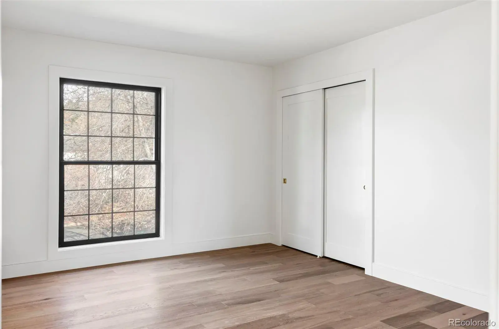 01082026024747 1600 26