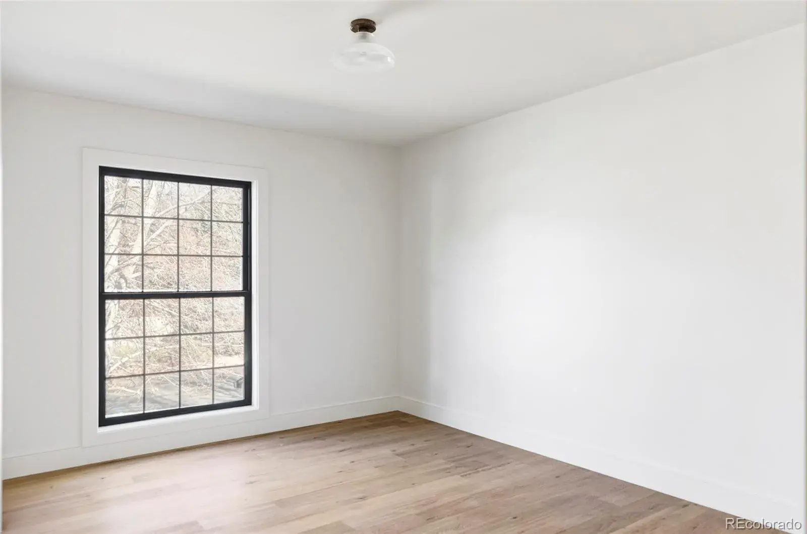 01082026024747 1600 28