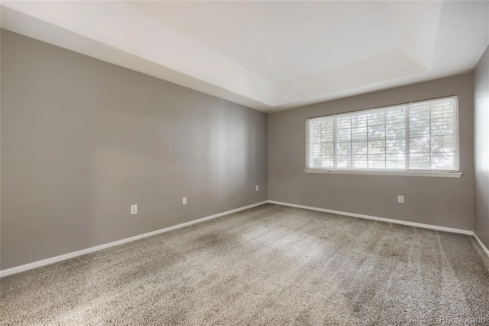 1703 Whitehall Drive #3E Longmont CO 80504 | MLS #REC5468214 08222026191531 1600 16