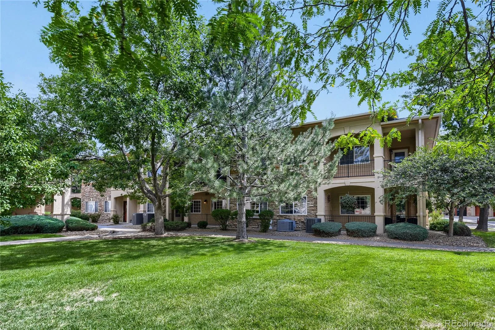 1703 Whitehall Drive #3E Longmont CO 80504 | MLS #REC5468214 08222026191531 1600 3