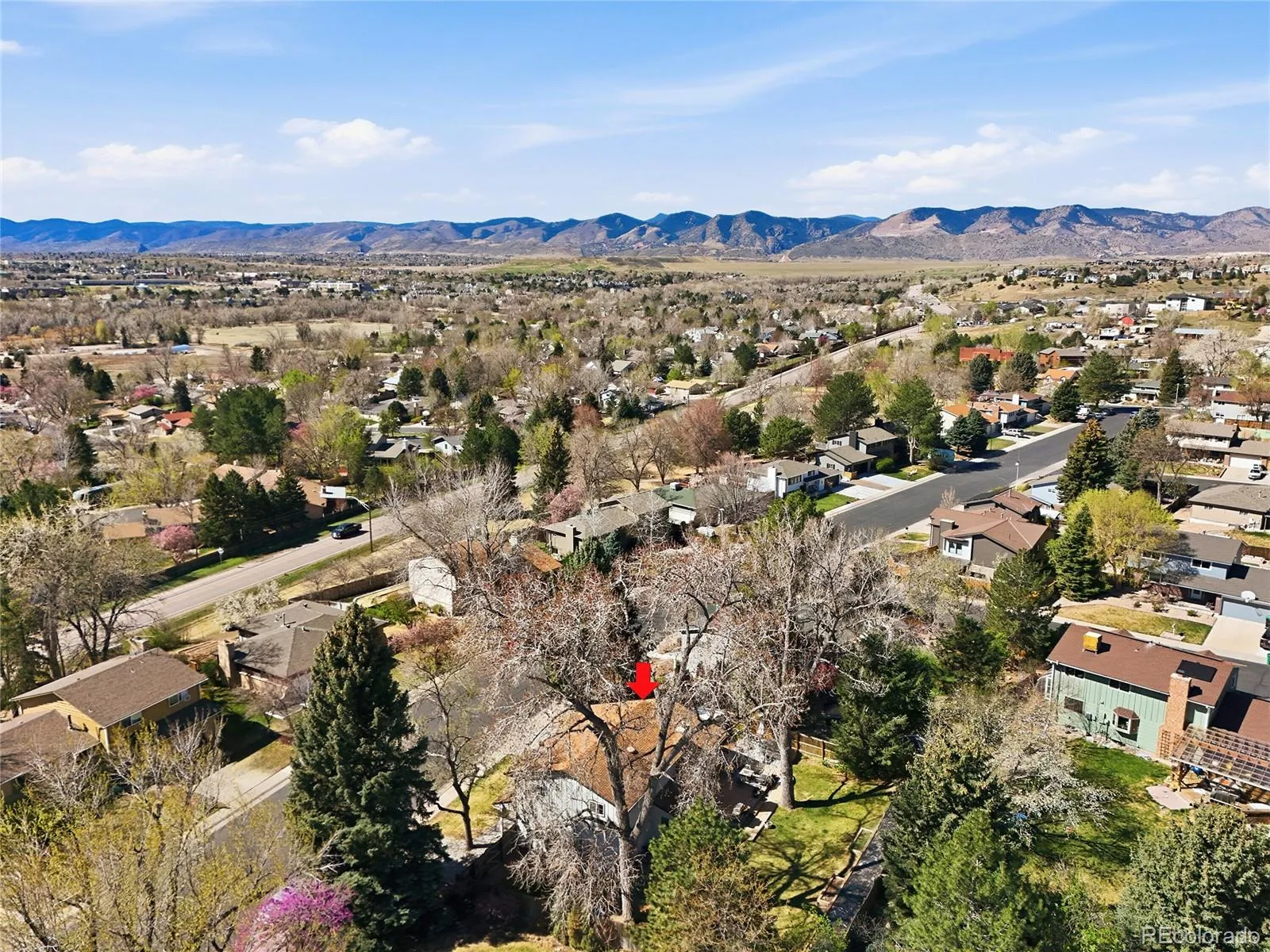 04152026175003 1600 46