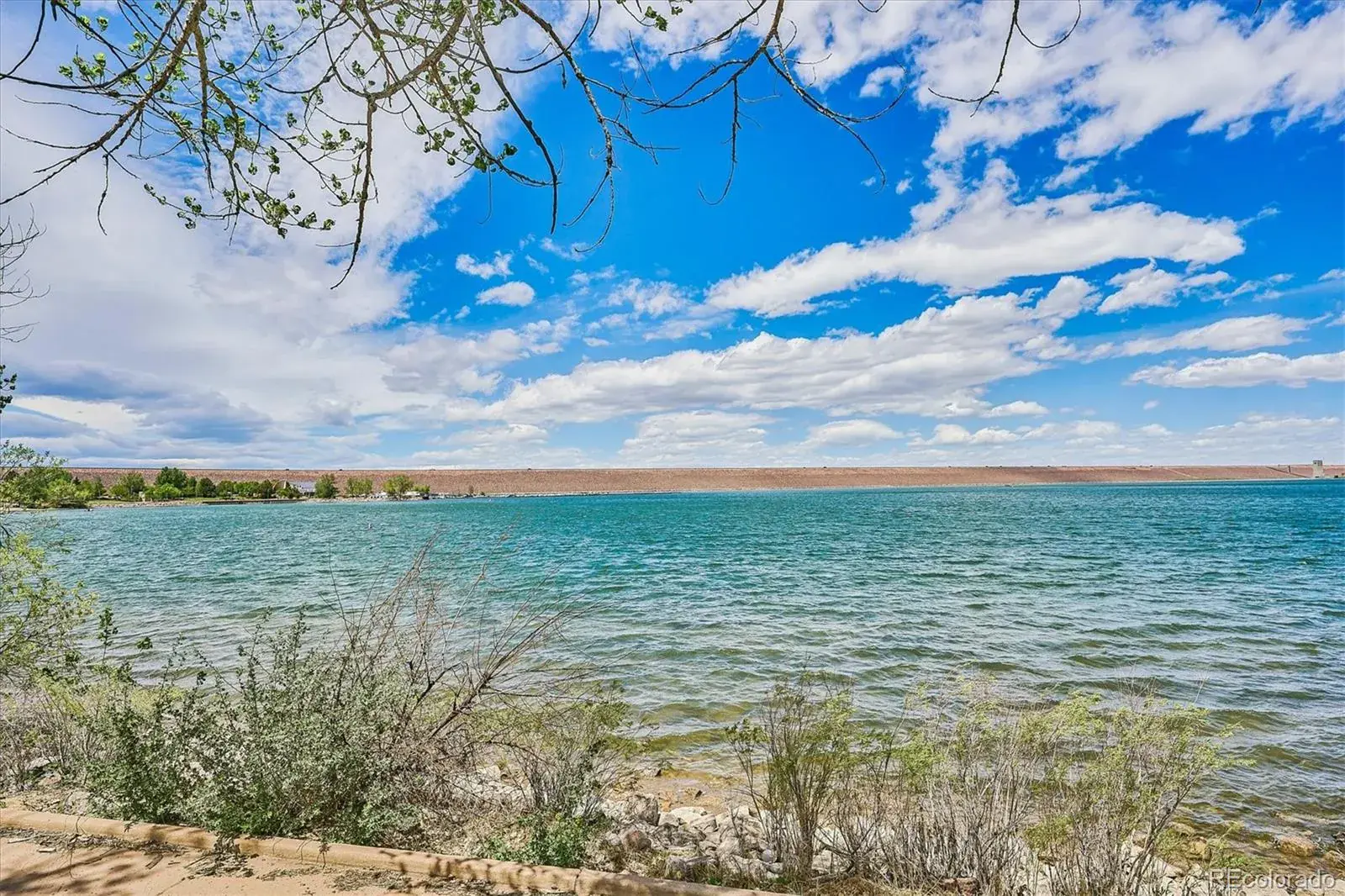 02282026185040 1600 45