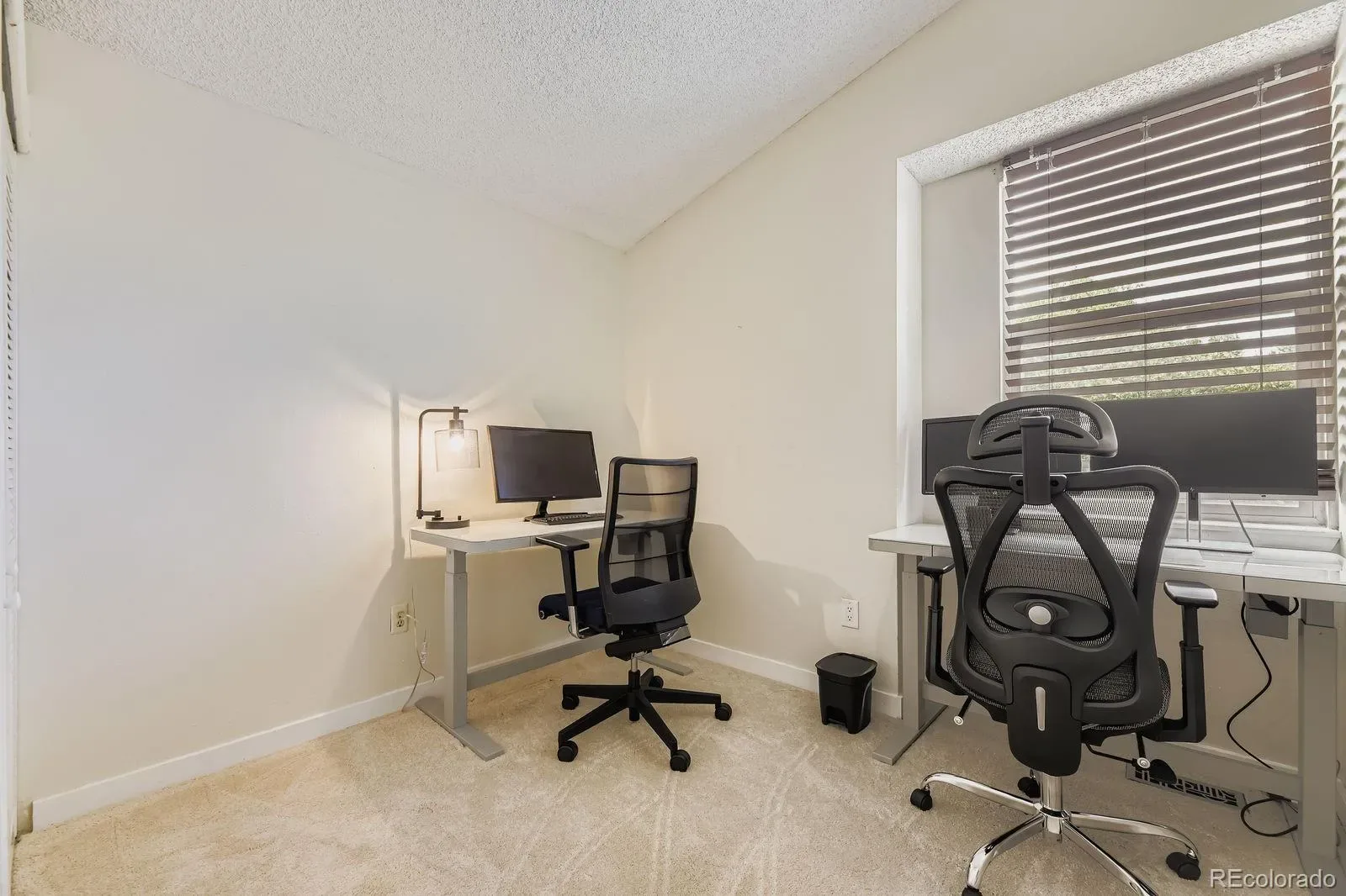 03182026195212 1600 21