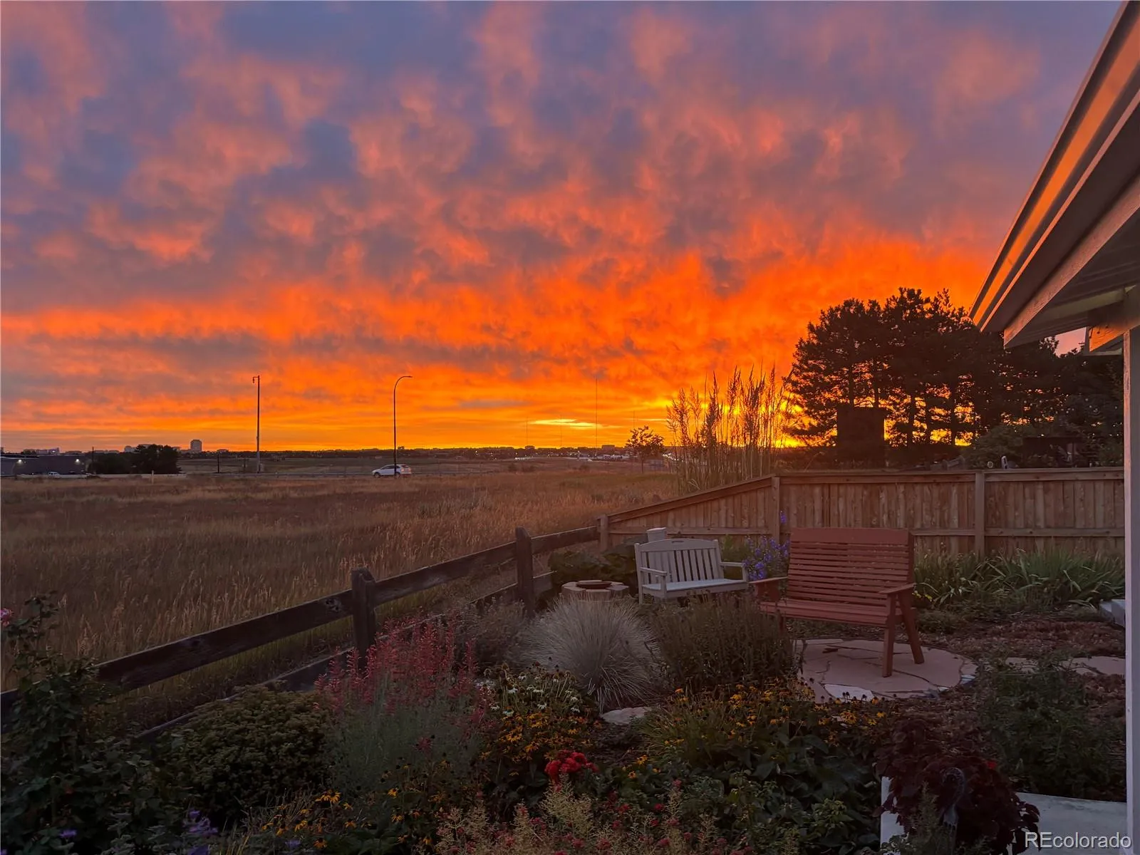 3897 Mallard Lane Highlands Ranch CO 80126 MLS #REC5473255 05232026094608 1600 36