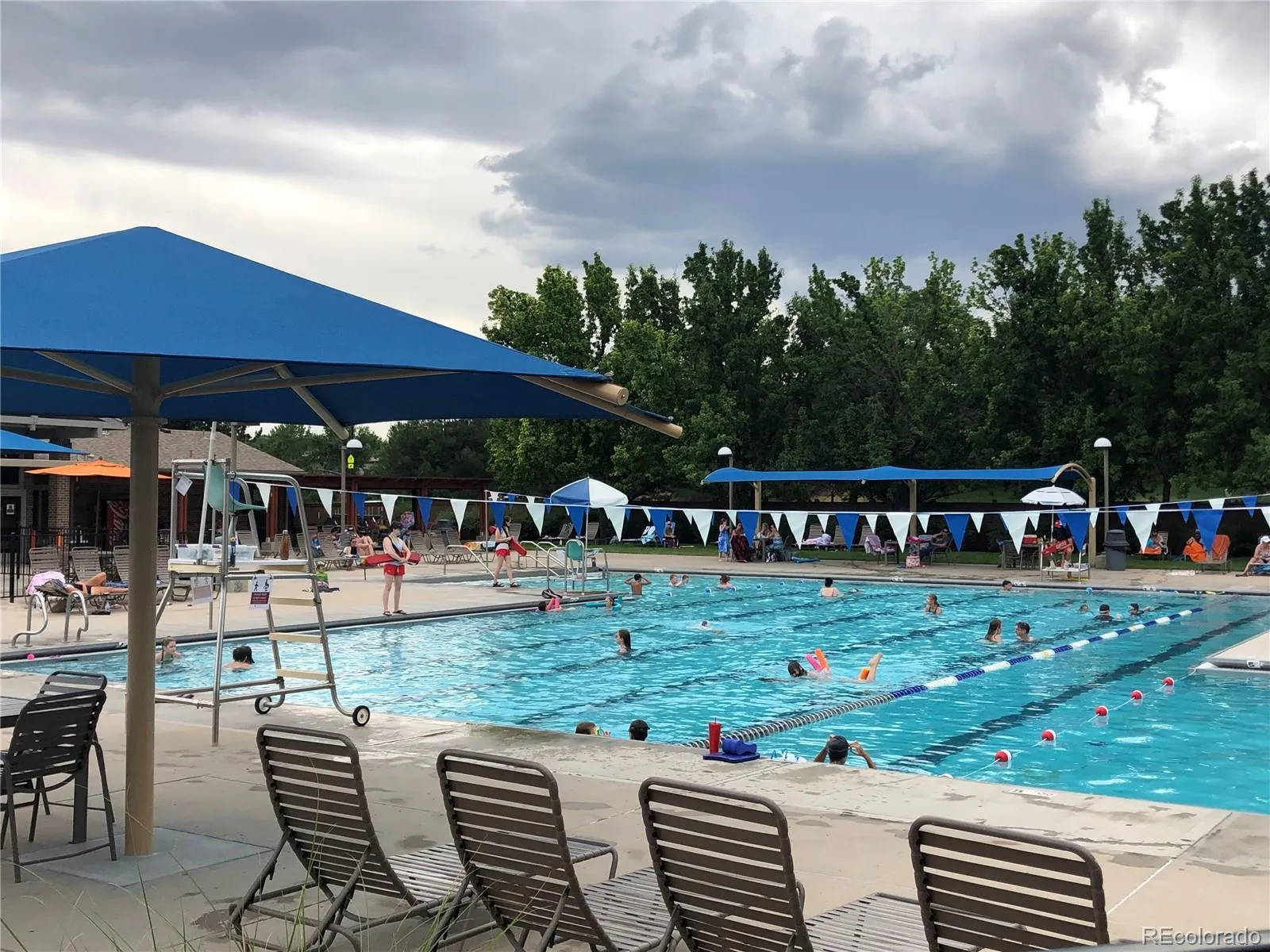 3897 Mallard Lane Highlands Ranch CO 80126 MLS #REC5473255 05232026094608 1600 47
