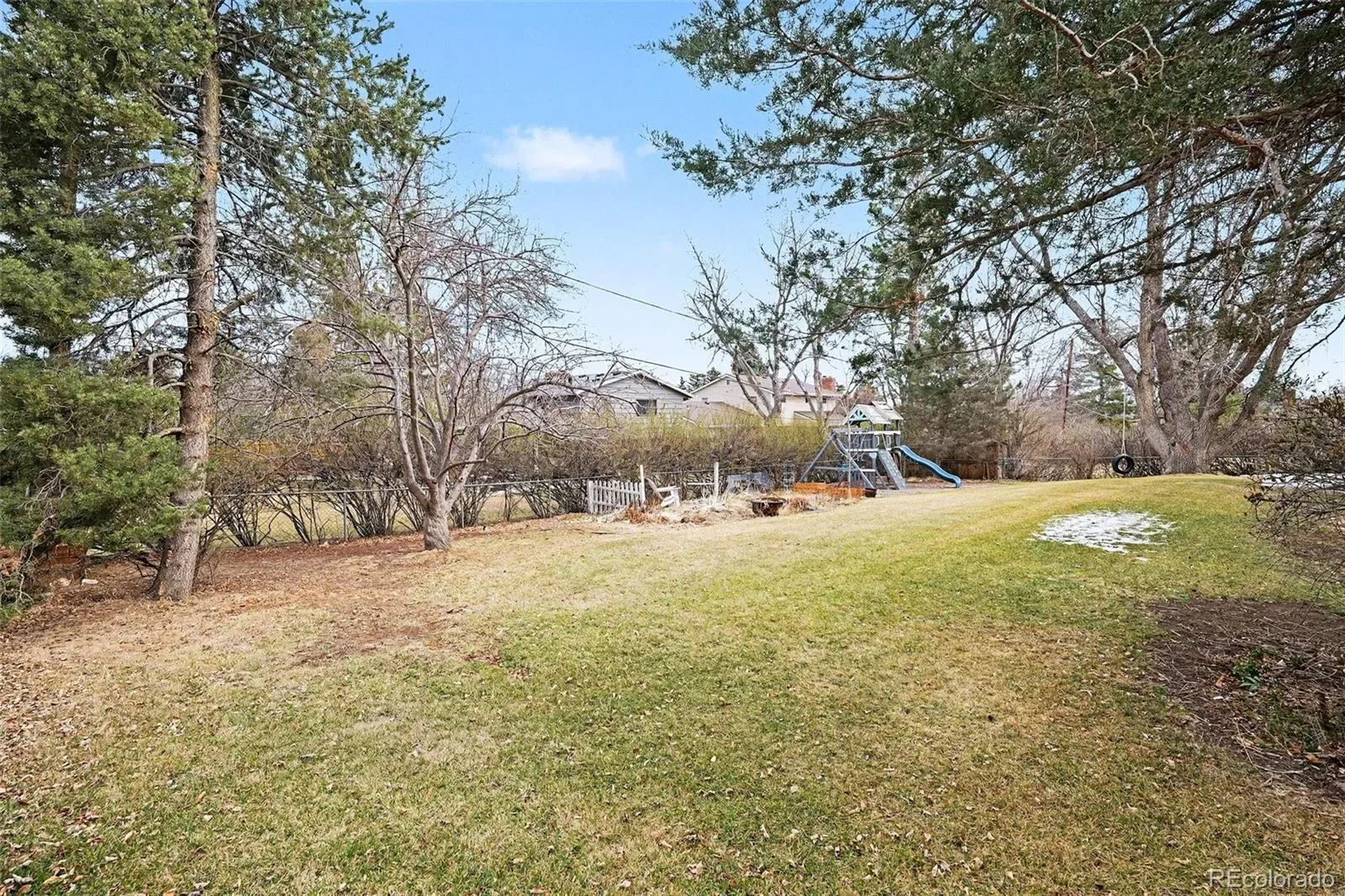 03132026145635 1600 43