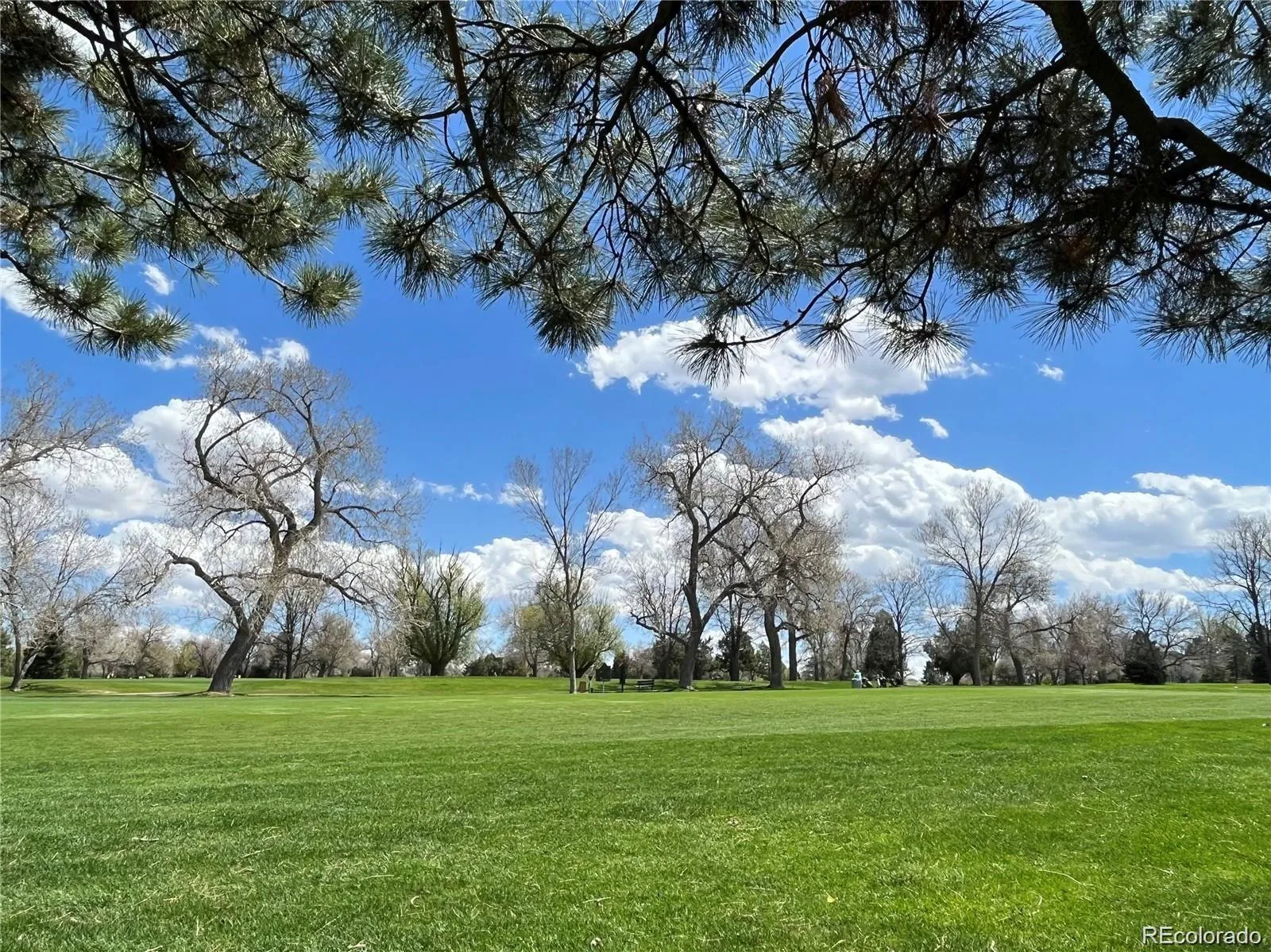 13722 E Lehigh Avenue #E Aurora CO 80014 MLS #REC5476322 05112026152856 1600 3