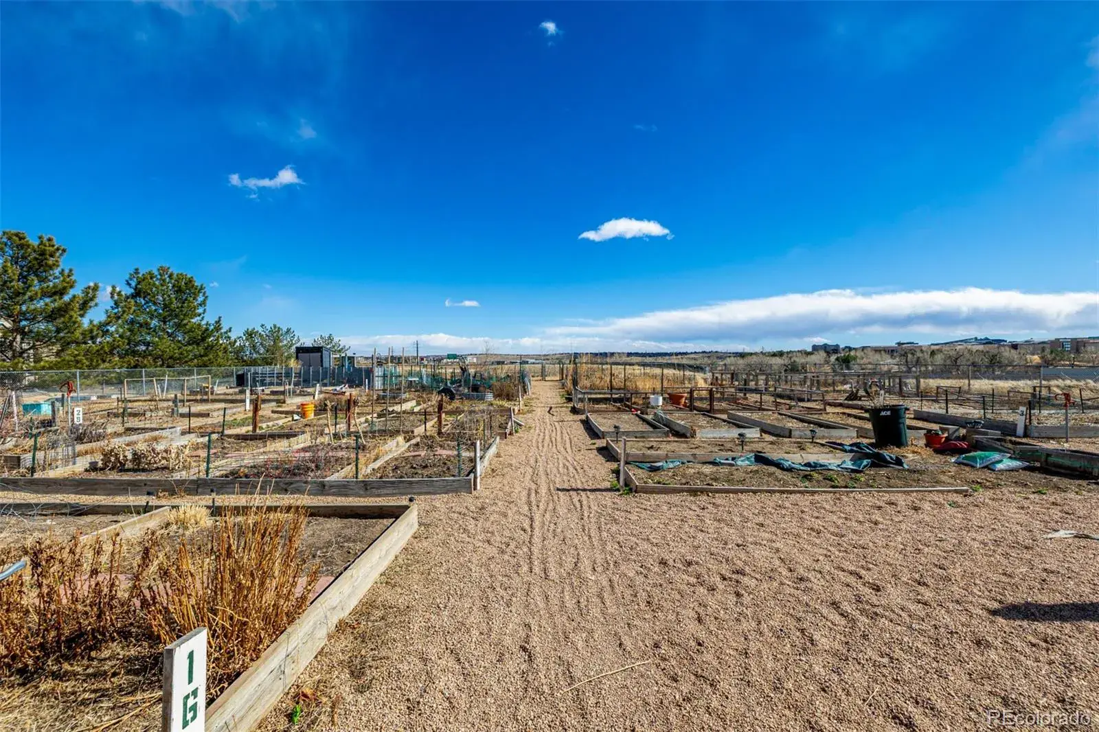 2175 Eagle Avenue Superior CO 80027 | MLS #REC5476491 02202026005432 1600 31