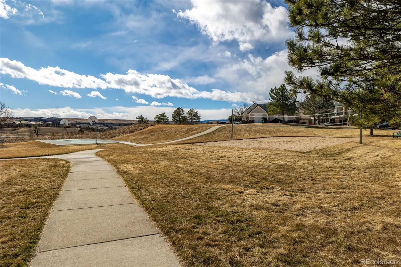 2175 Eagle Avenue Superior CO 80027 | MLS #REC5476491 02202026005432 1600 34