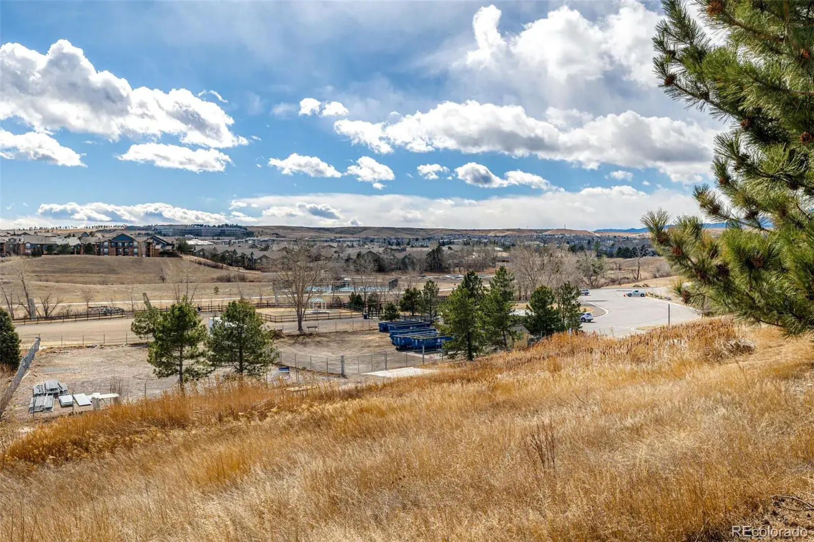 2175 Eagle Avenue Superior CO 80027 | MLS #REC5476491 02202026005432 1600 38
