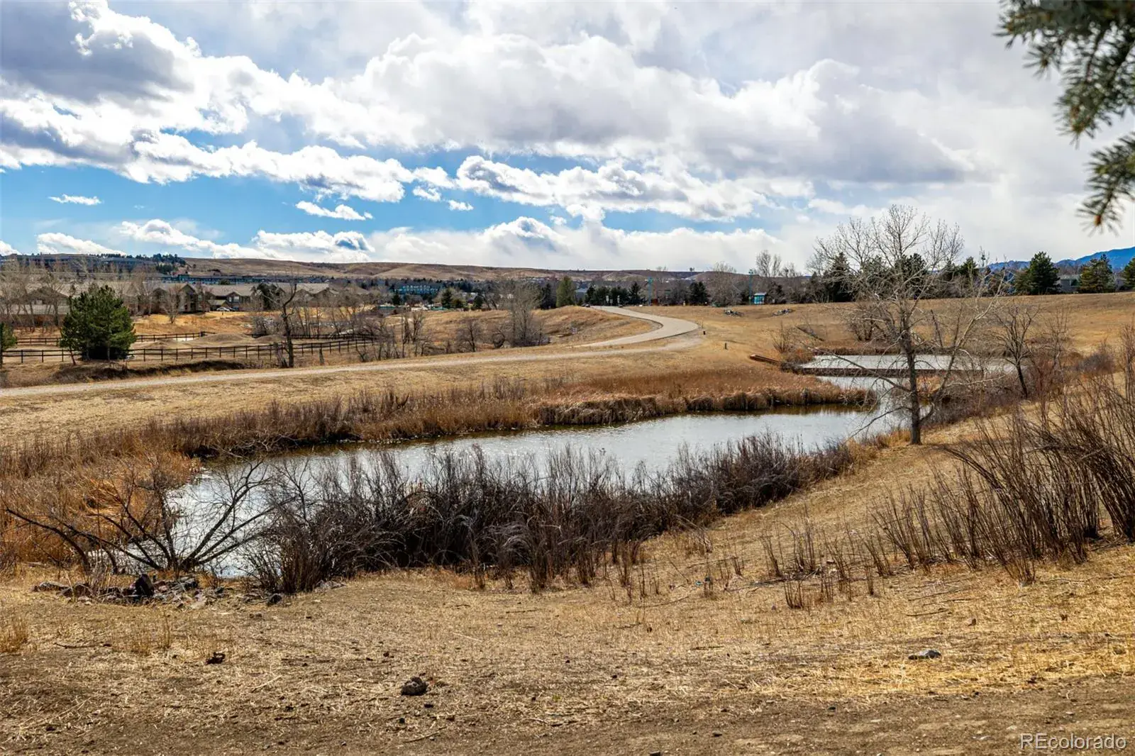2175 Eagle Avenue Superior CO 80027 | MLS #REC5476491 02202026005432 1600 42