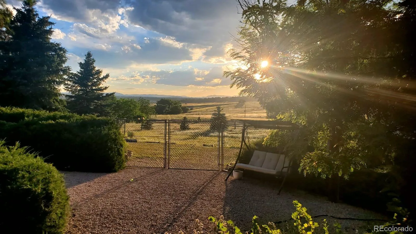 9116 Warriors Mark Drive Franktown CO 80116 | MLS #REC5482752 08262026194826 1600 42