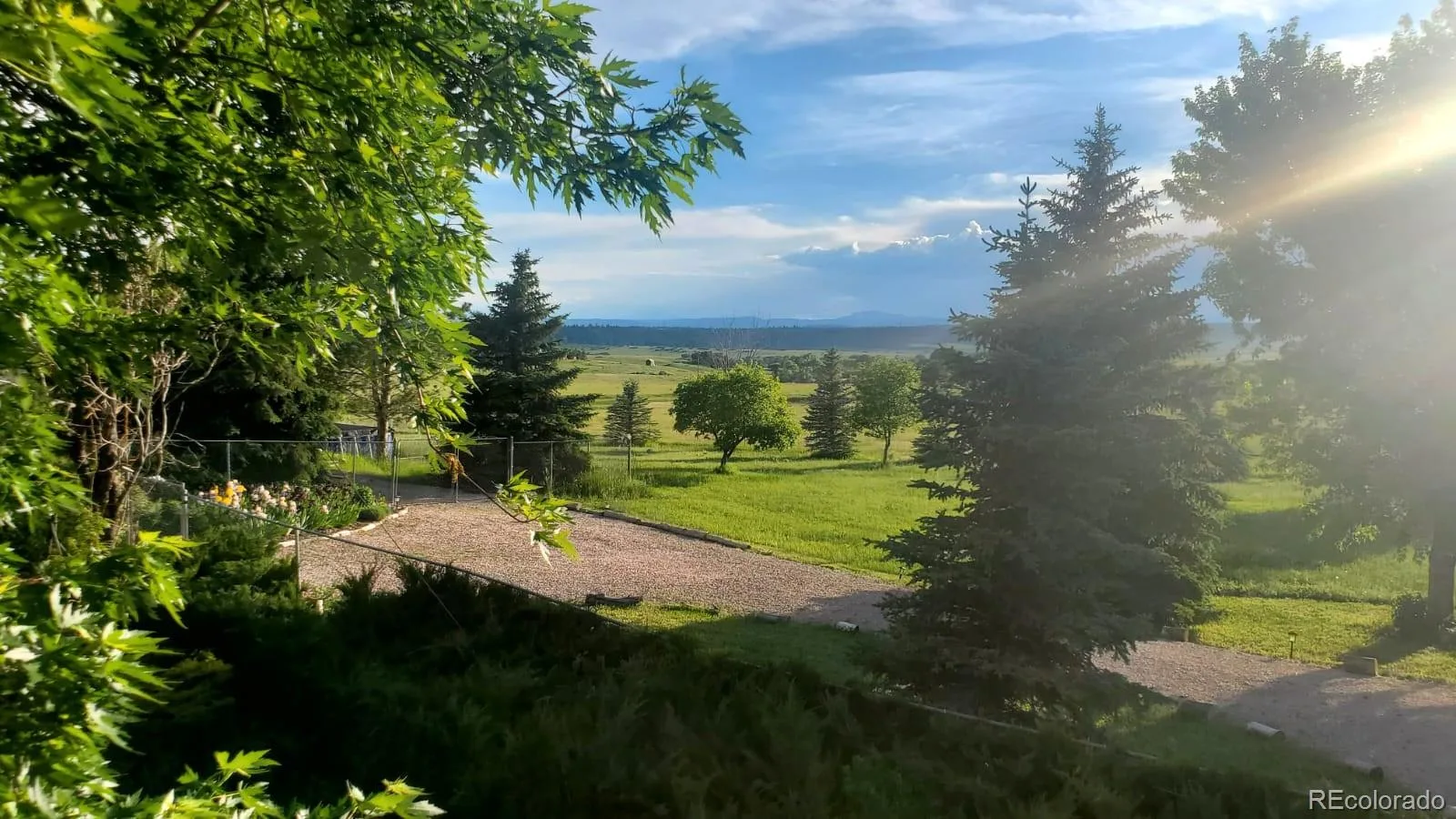 9116 Warriors Mark Drive Franktown CO 80116 | MLS #REC5482752 08262026194826 1600 47