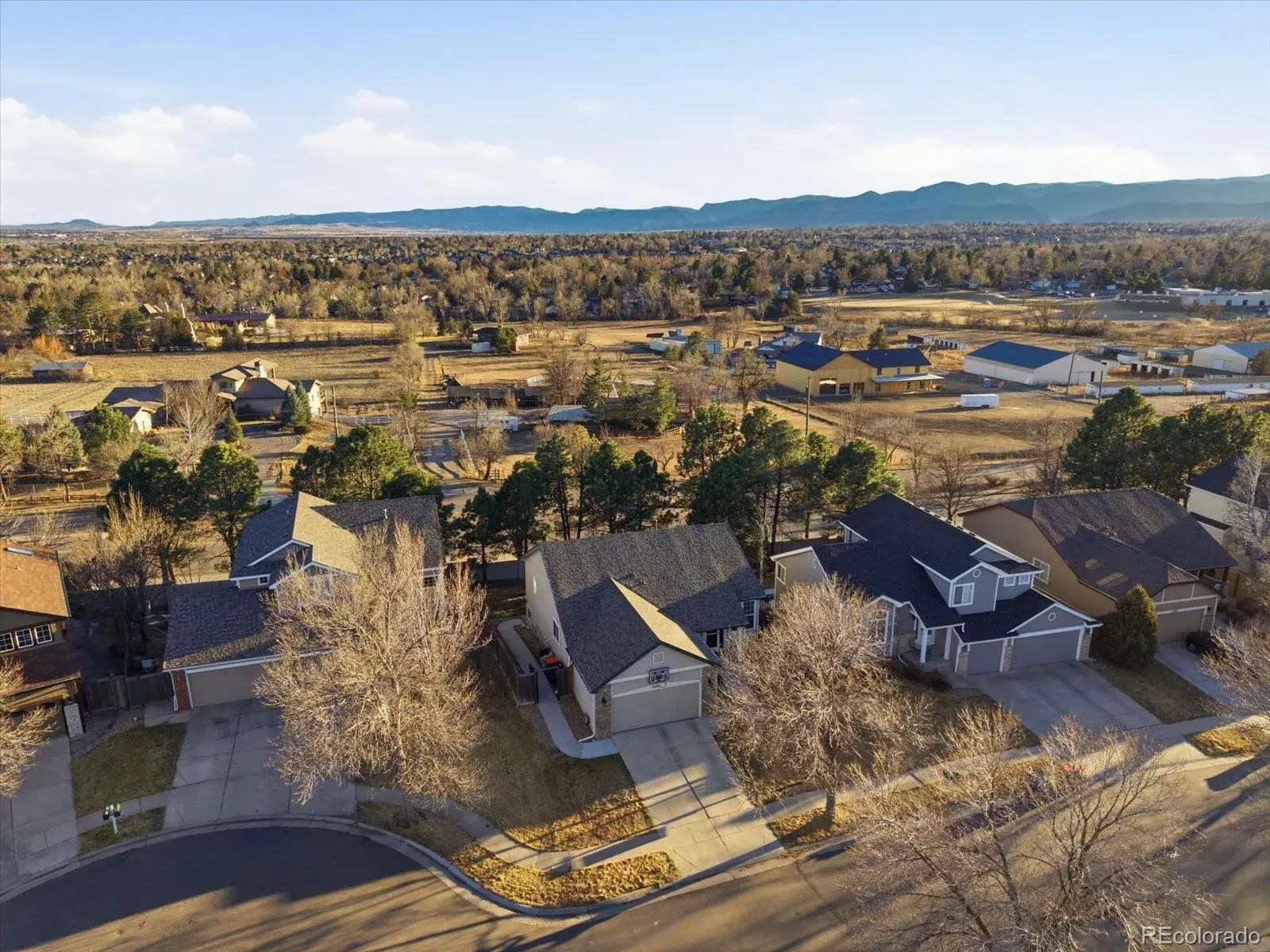 03062026203527 1600 43