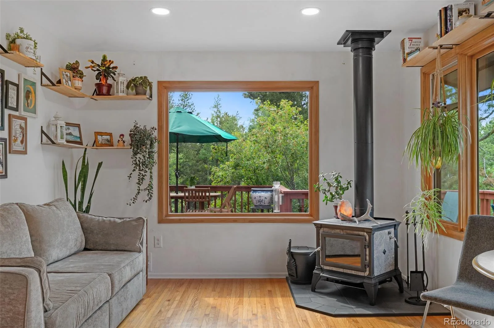 10 Rudi W Lane Golden CO 80403 | MLS #REC5498745 06262026170523 1600 3