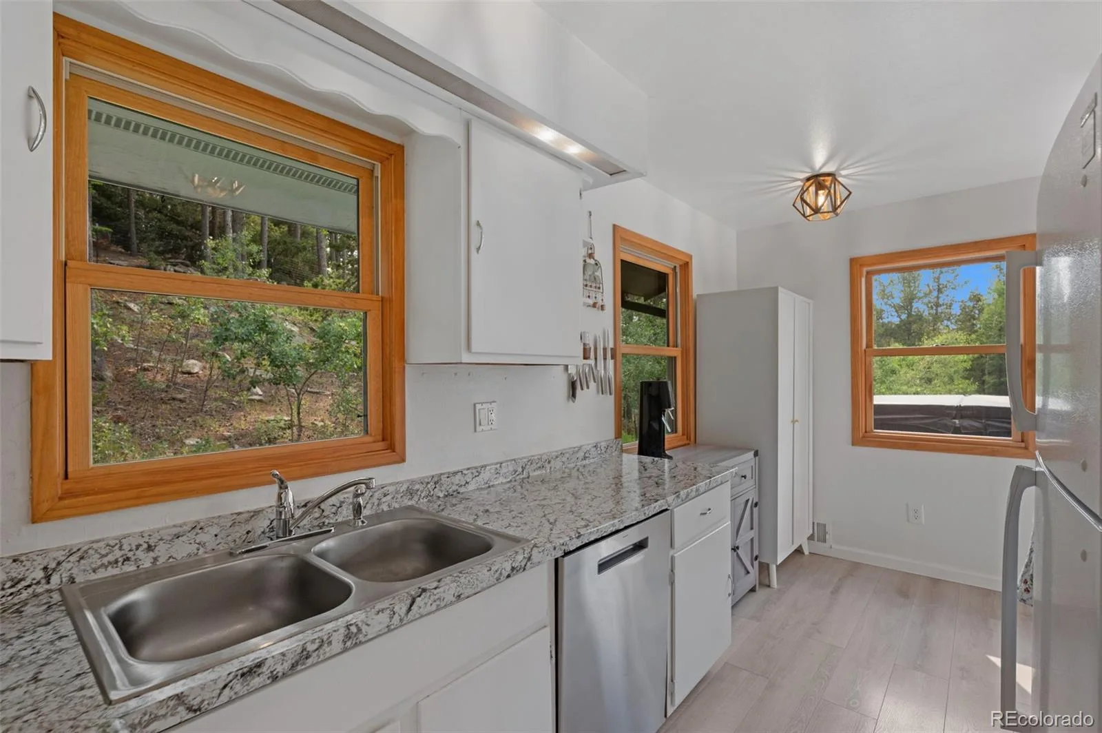 10 Rudi W Lane Golden CO 80403 | MLS #REC5498745 06262026170523 1600 6