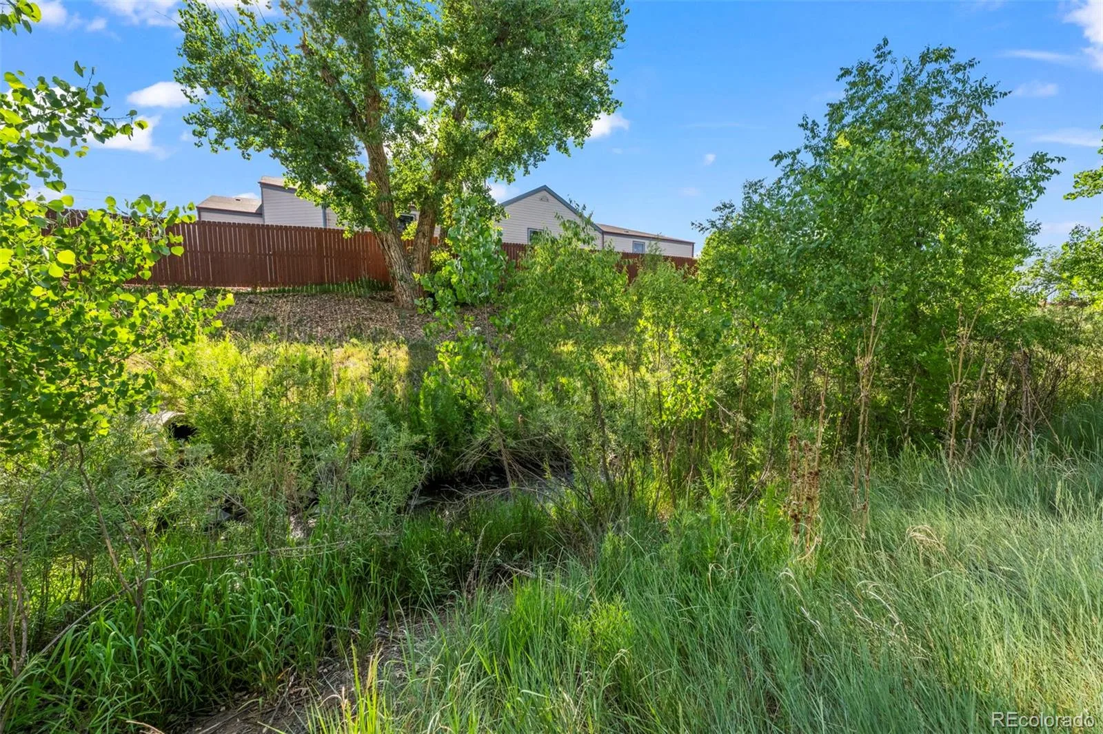 6741 S Ivy Way #C4 Centennial CO 80112 | MLS #REC5507996 08072026195626 1600 21