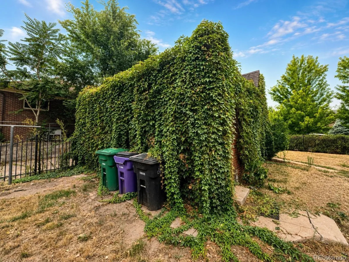 3356 W 46th Avenue Denver CO 80211 | MLS #REC5509792 08232026024559 1200 28