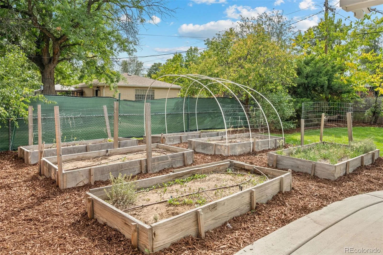 3275 S Raleigh Street Denver CO 80236 | MLS #REC5511965 10172026151401 1600 41