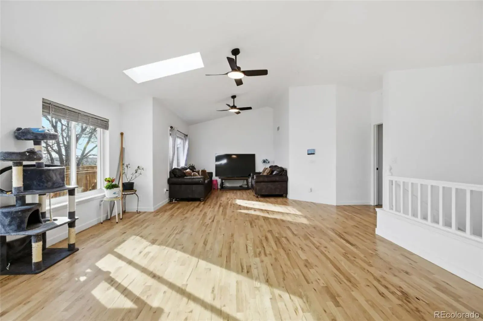 02052026192226 1600 12