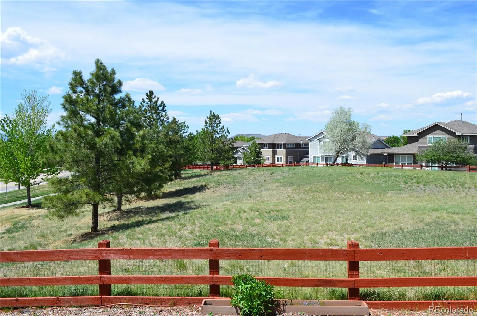 4405 Millwagon Trail Castle Rock CO 80109 | MLS #REC5518305 07092026023808 1600 1