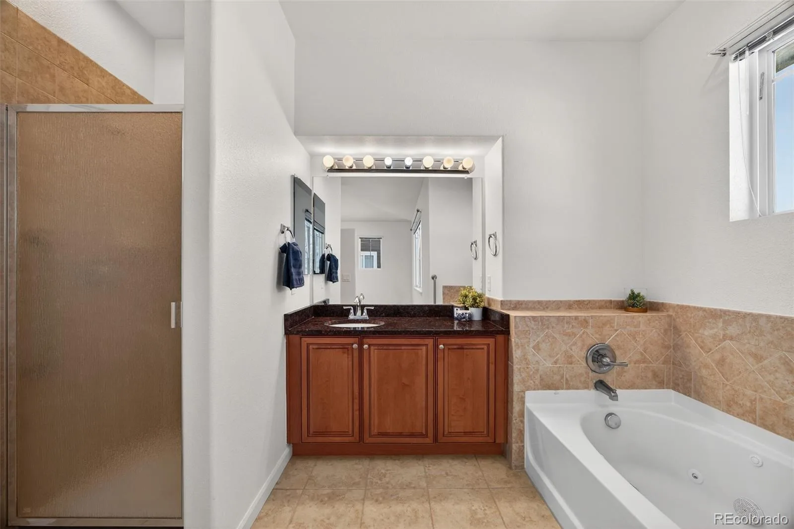 4405 Millwagon Trail Castle Rock CO 80109 | MLS #REC5518305 07092026023808 1600 10