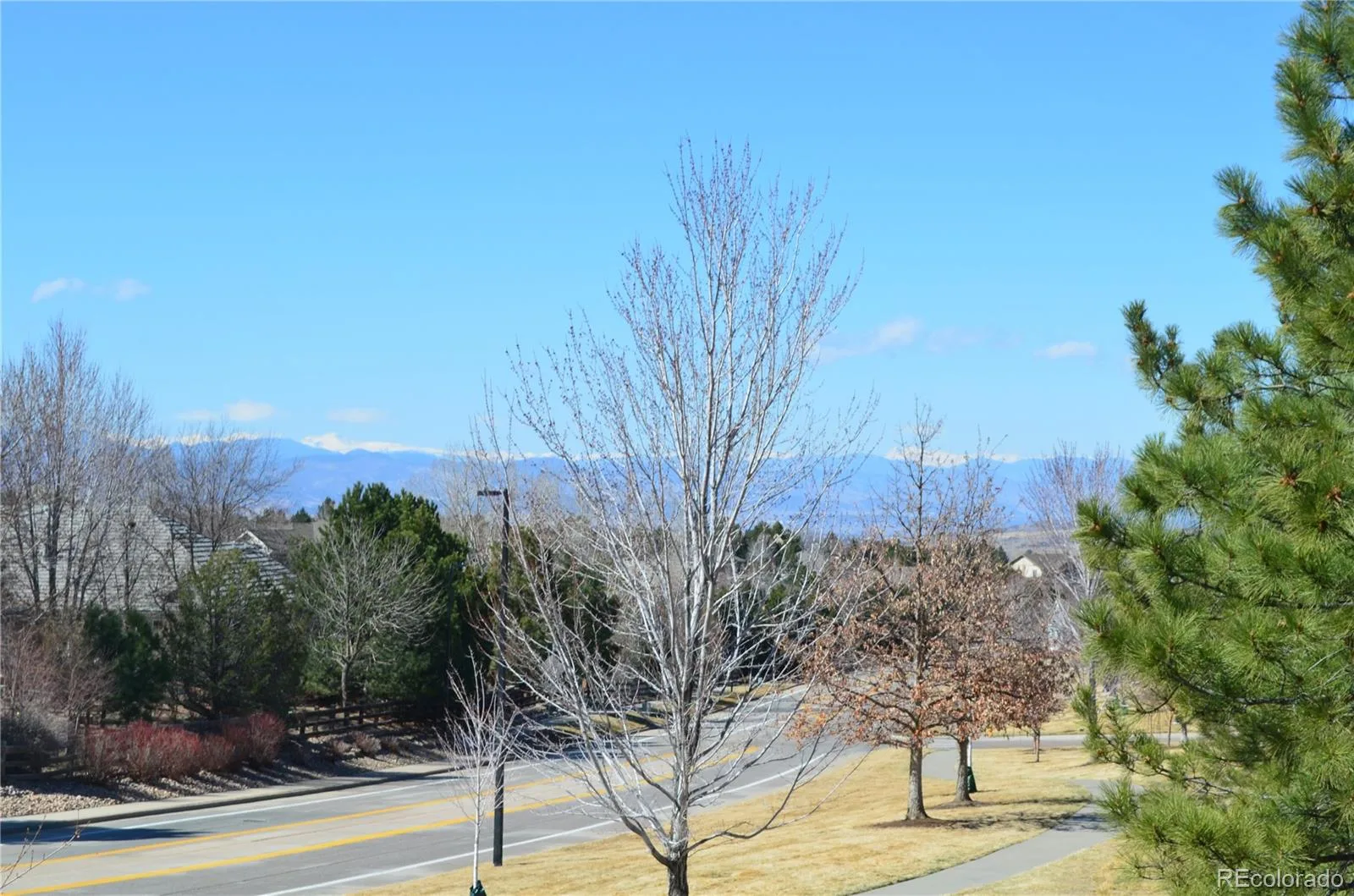 4405 Millwagon Trail Castle Rock CO 80109 | MLS #REC5518305 07092026023808 1600 2